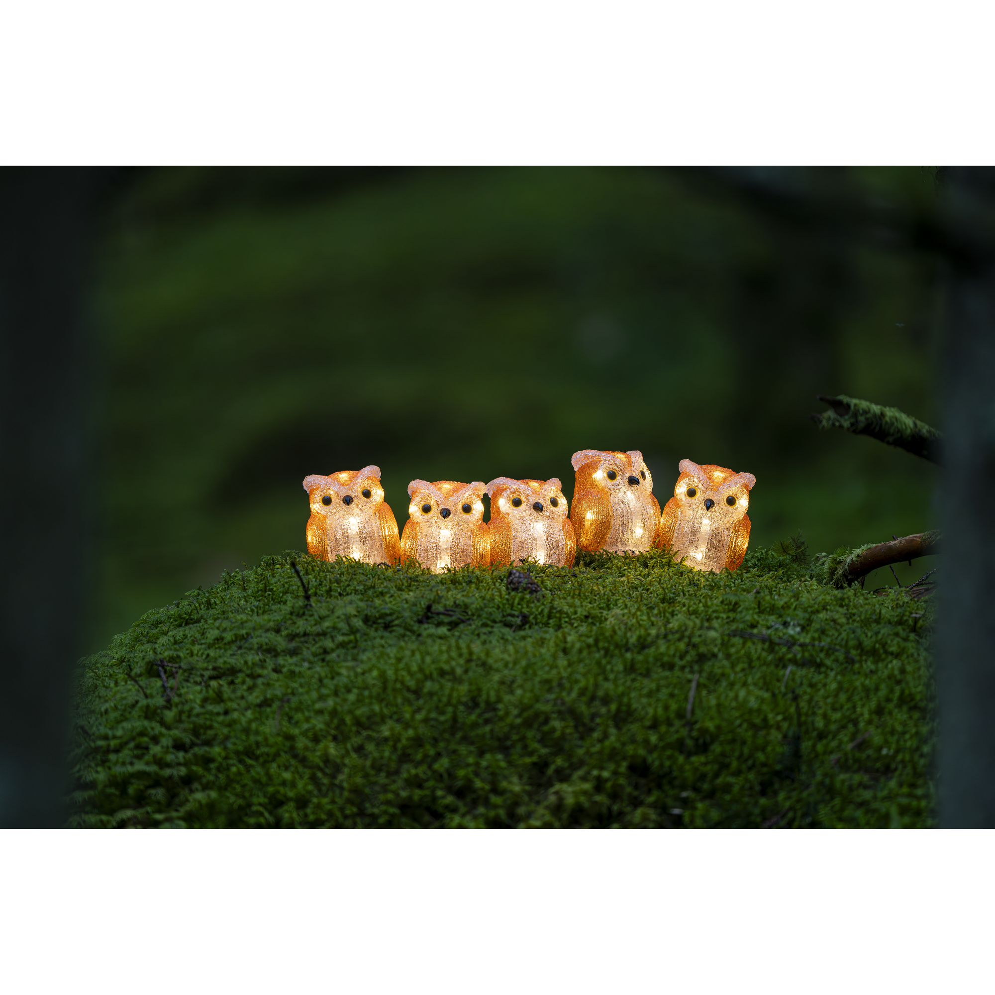 LED-Dekofigur 'Eule' 40 LED warmweiß 7,5 x 10 x 7,5 cm 5 Stück