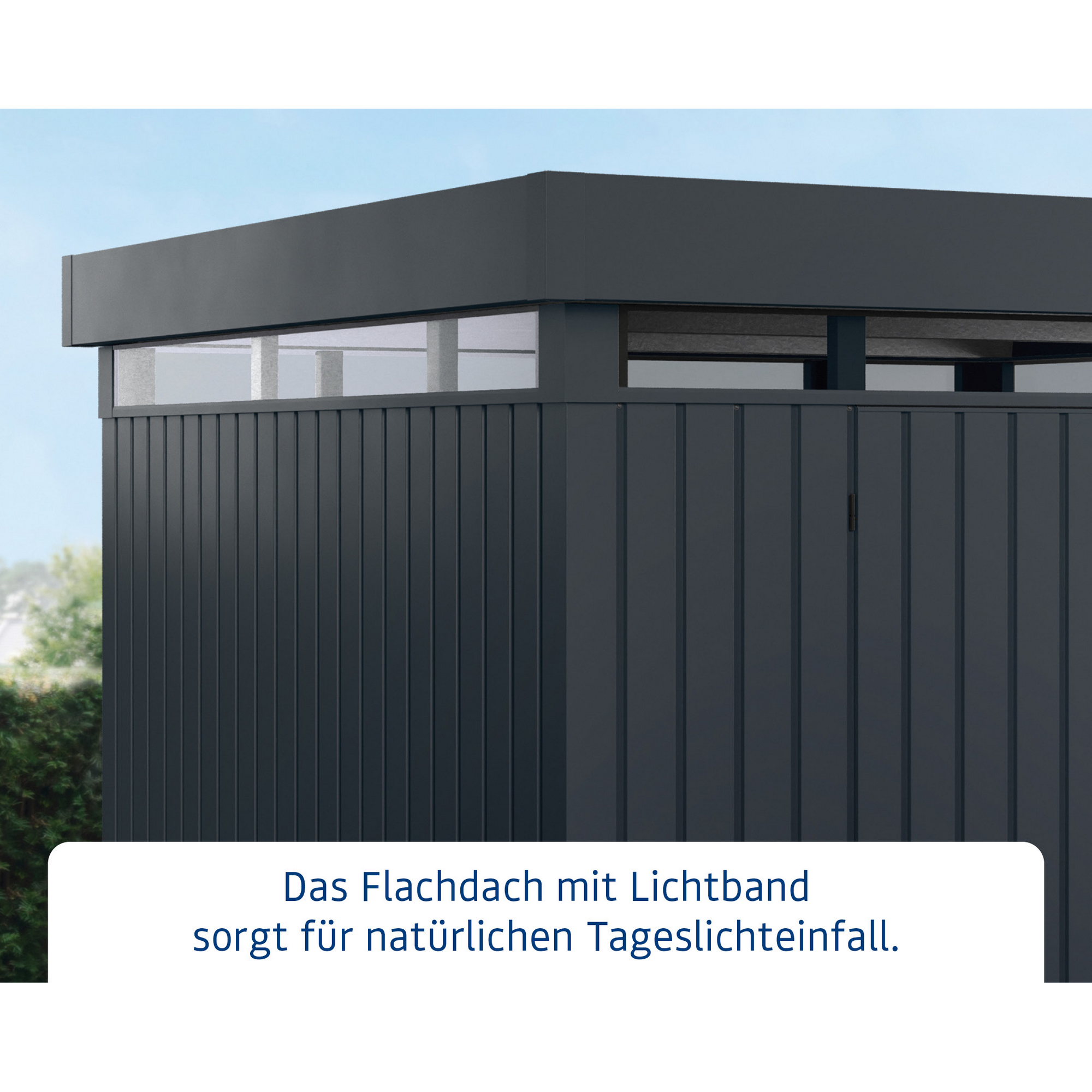Gerätehaus 'Euroline EFD5 Trend' anthrazitgrau 229 x 229 x 218 cm, Einzeltür, Lichtband