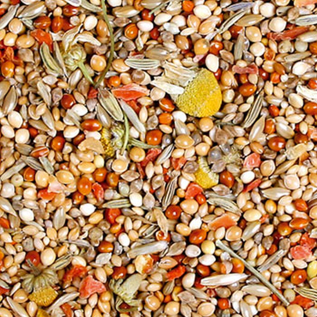 Vogelfutter 'Birds Individual Prachtfink' 1 kg