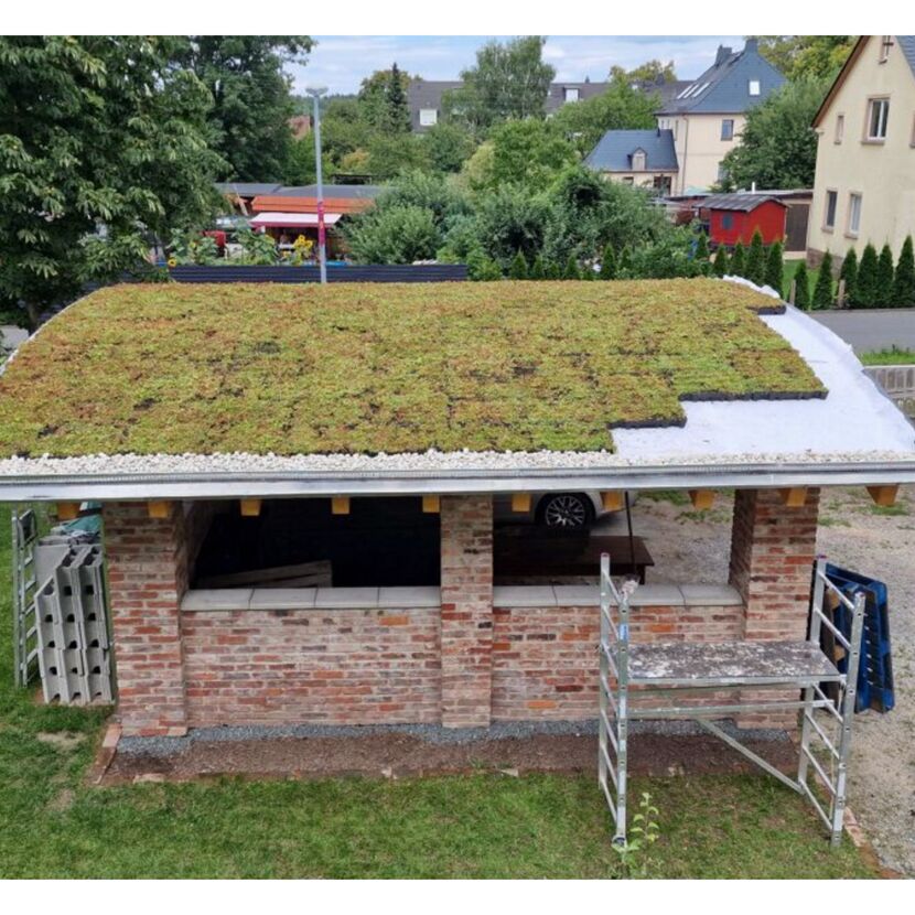 Dachbegrünungskassettensystem 30 m²