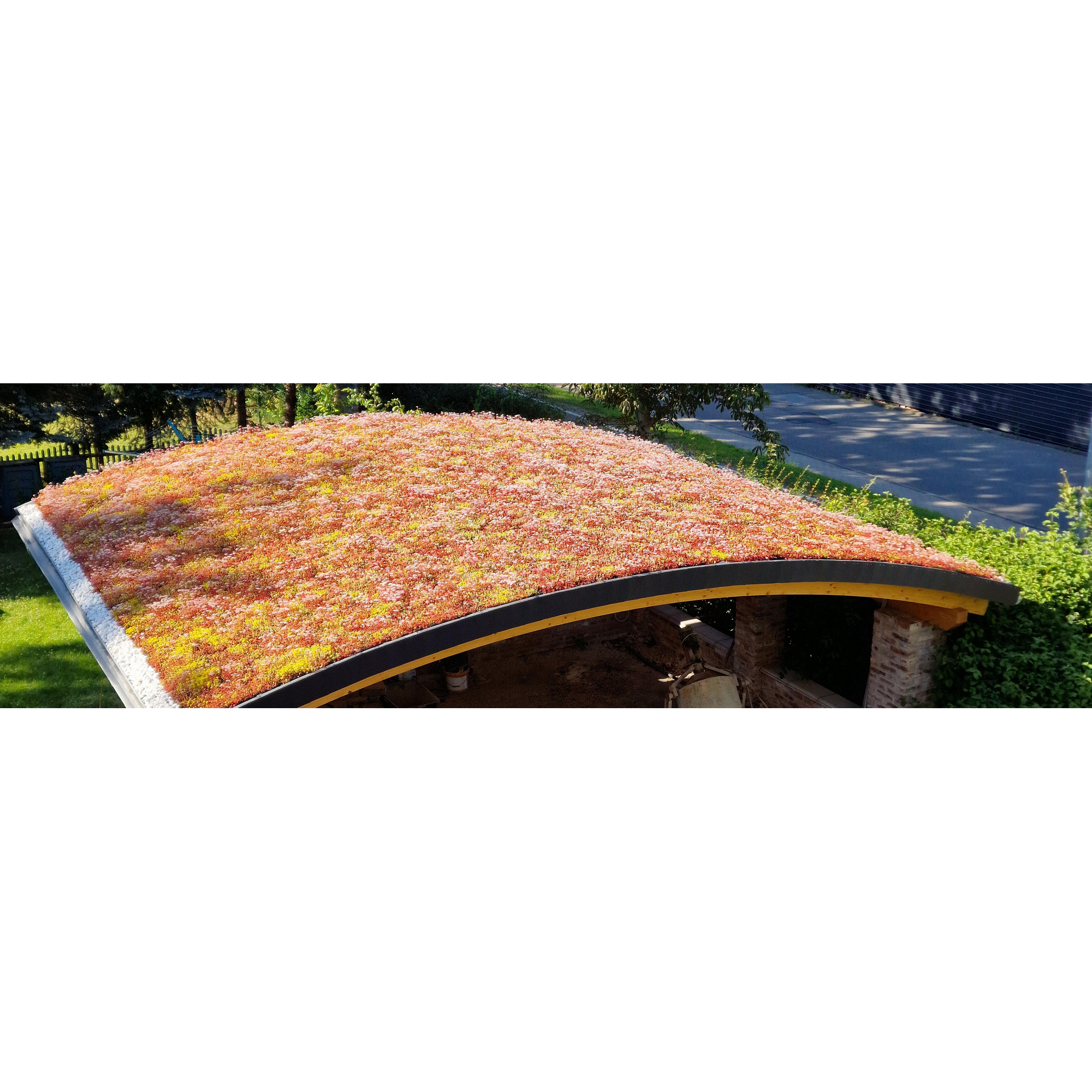 Dachbegrünungskassette 38 m²