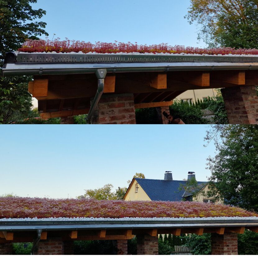 Dachbegrünungskassettensystem 44 m²