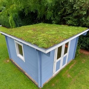 Dachbegrünung 12 m²