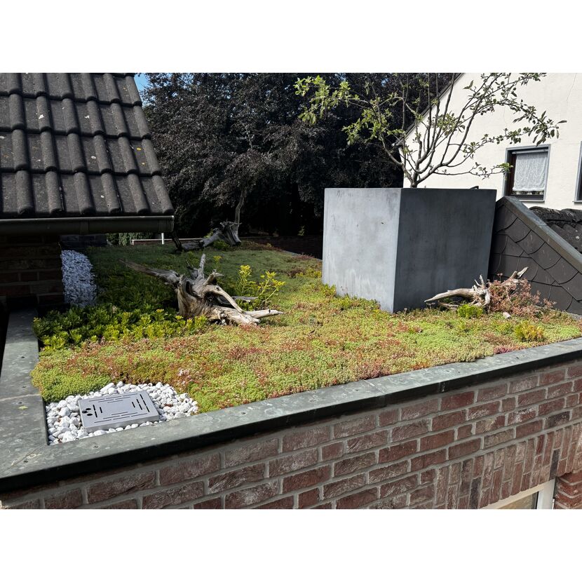 Leichtdachbegrünung extensiv 24 m²