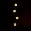 LED-Lichterkette 10 LED warmweiß 165 cm