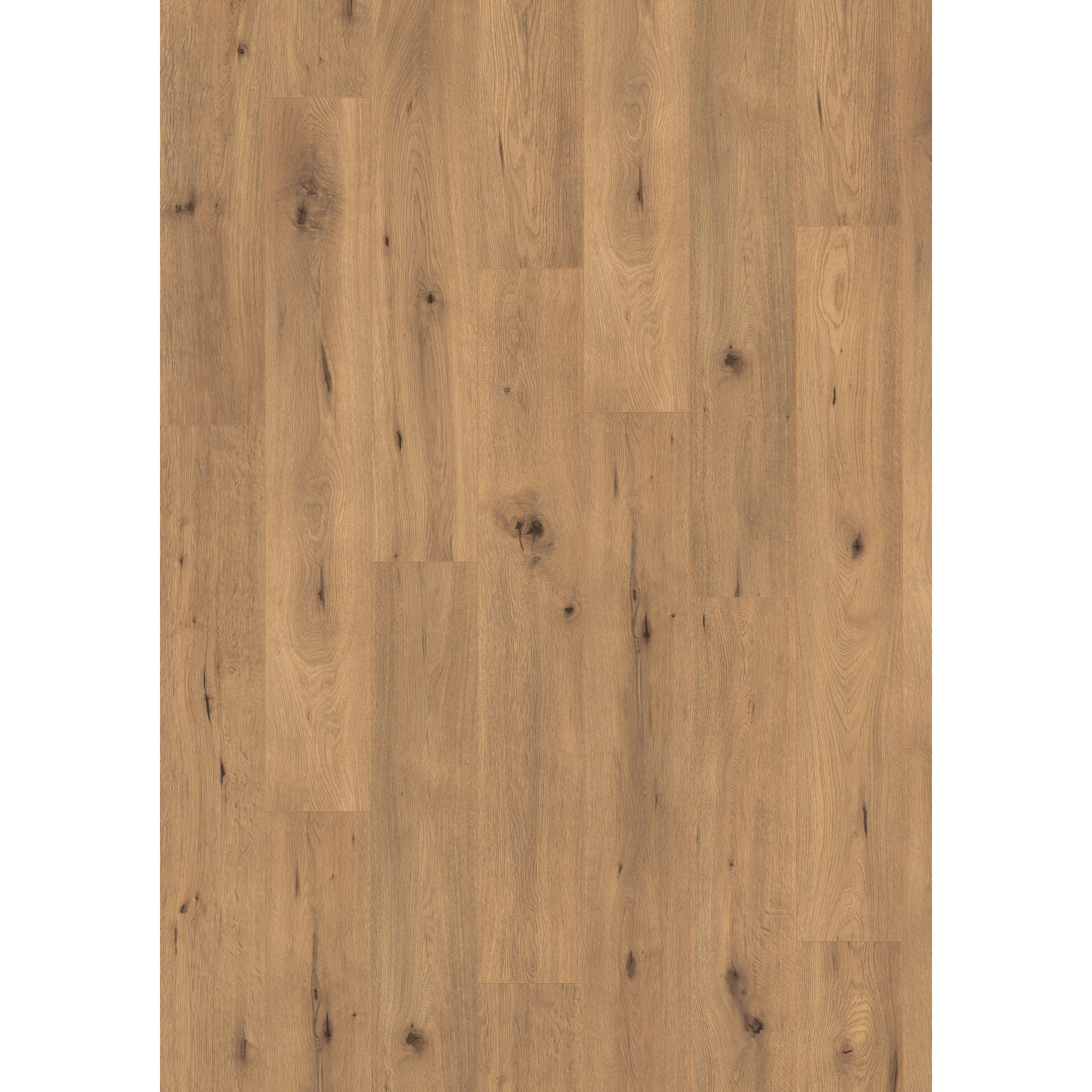 Laminat 'NatureSense' EL2067 Wildeiche natur 7 mm