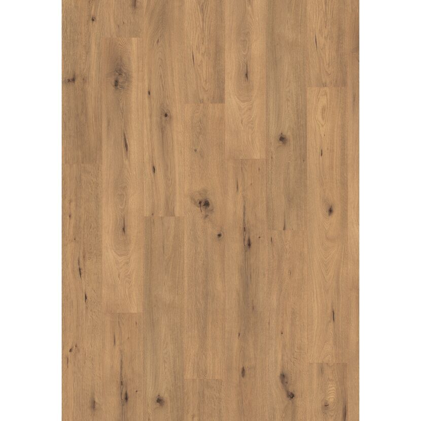 Laminat 'NatureSense' EL2067 Wildeiche natur 7 mm