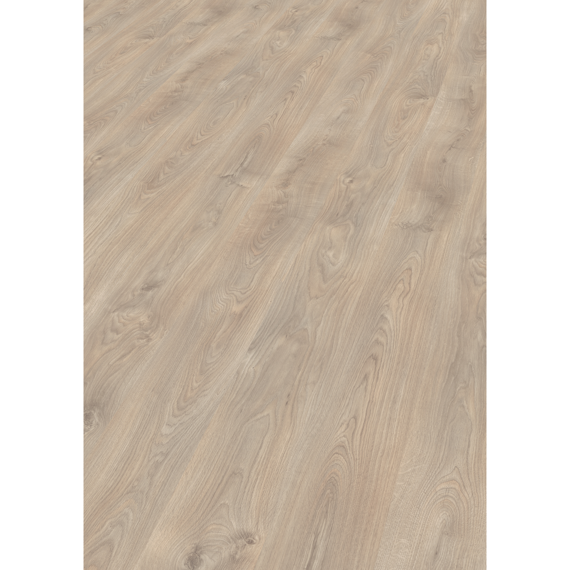 Laminat 'NatureSense' EL2637 Belfort Eiche silber 7 mm