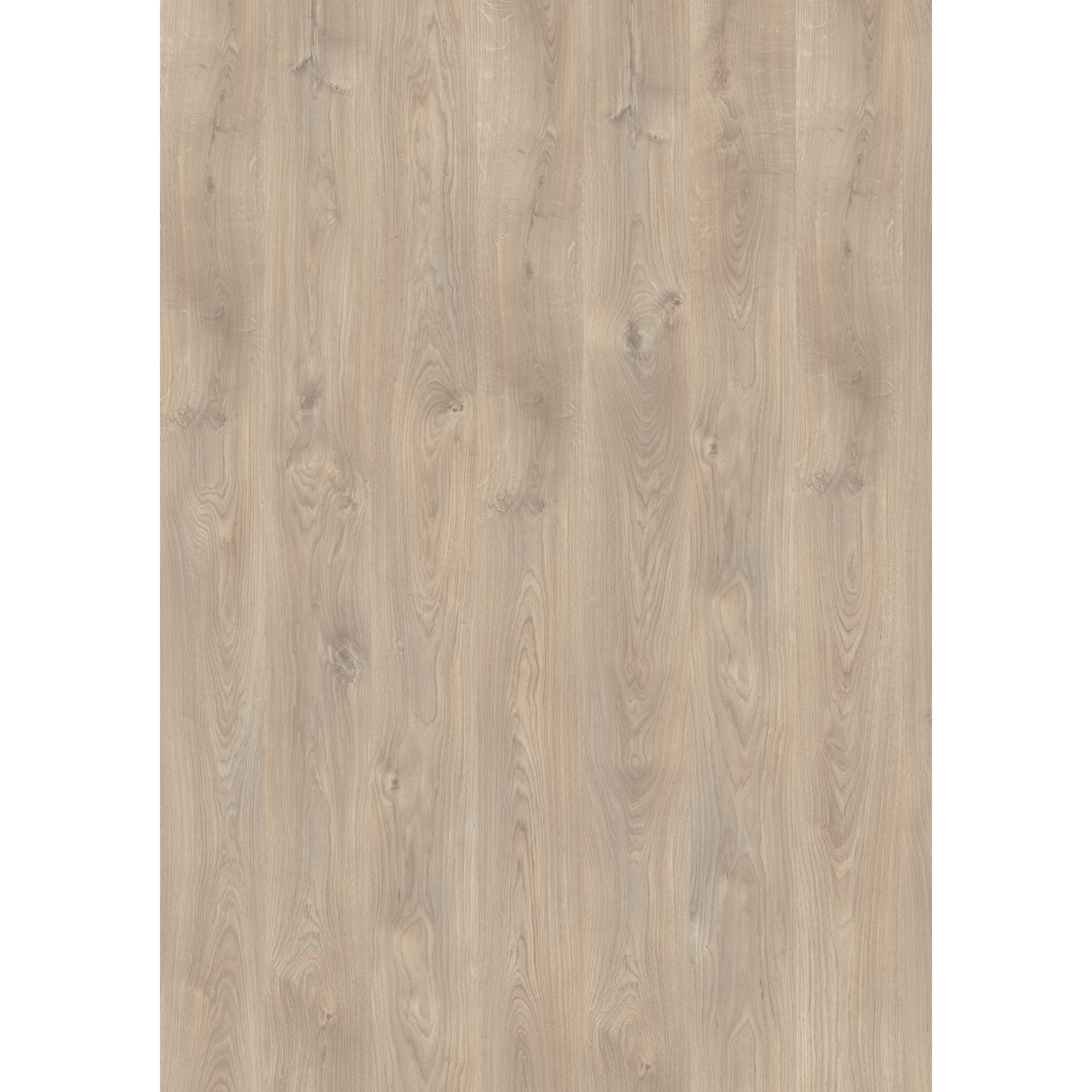 Laminat 'NatureSense' EL2637 Belfort Eiche silber 7 mm