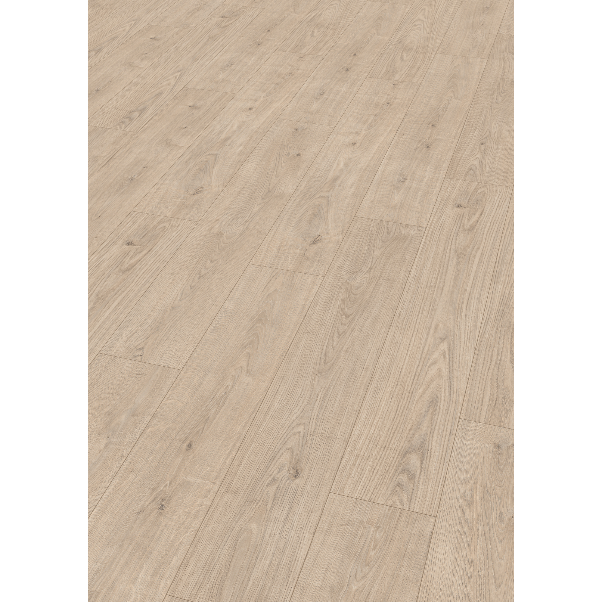 Laminat 'NatureSense' EL1031 Berdal Eiche hell 7 mm