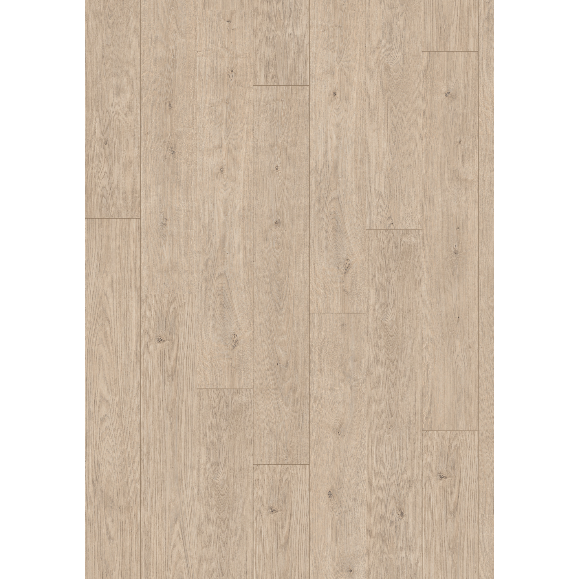 Laminat 'NatureSense' EL1031 Berdal Eiche hell 7 mm