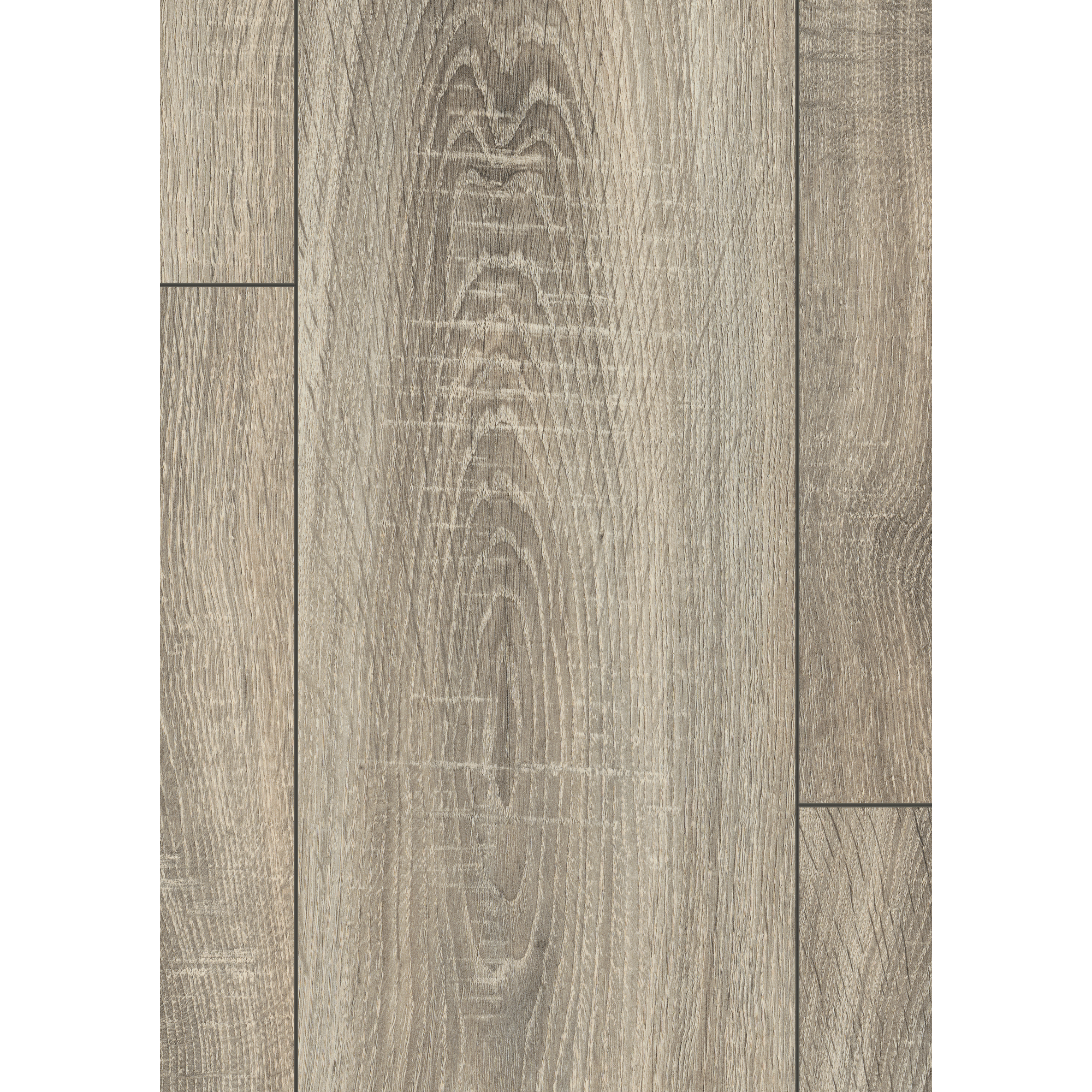 Laminat 'NatureSense' EL1056 Bardolino Eiche grau 7 mm