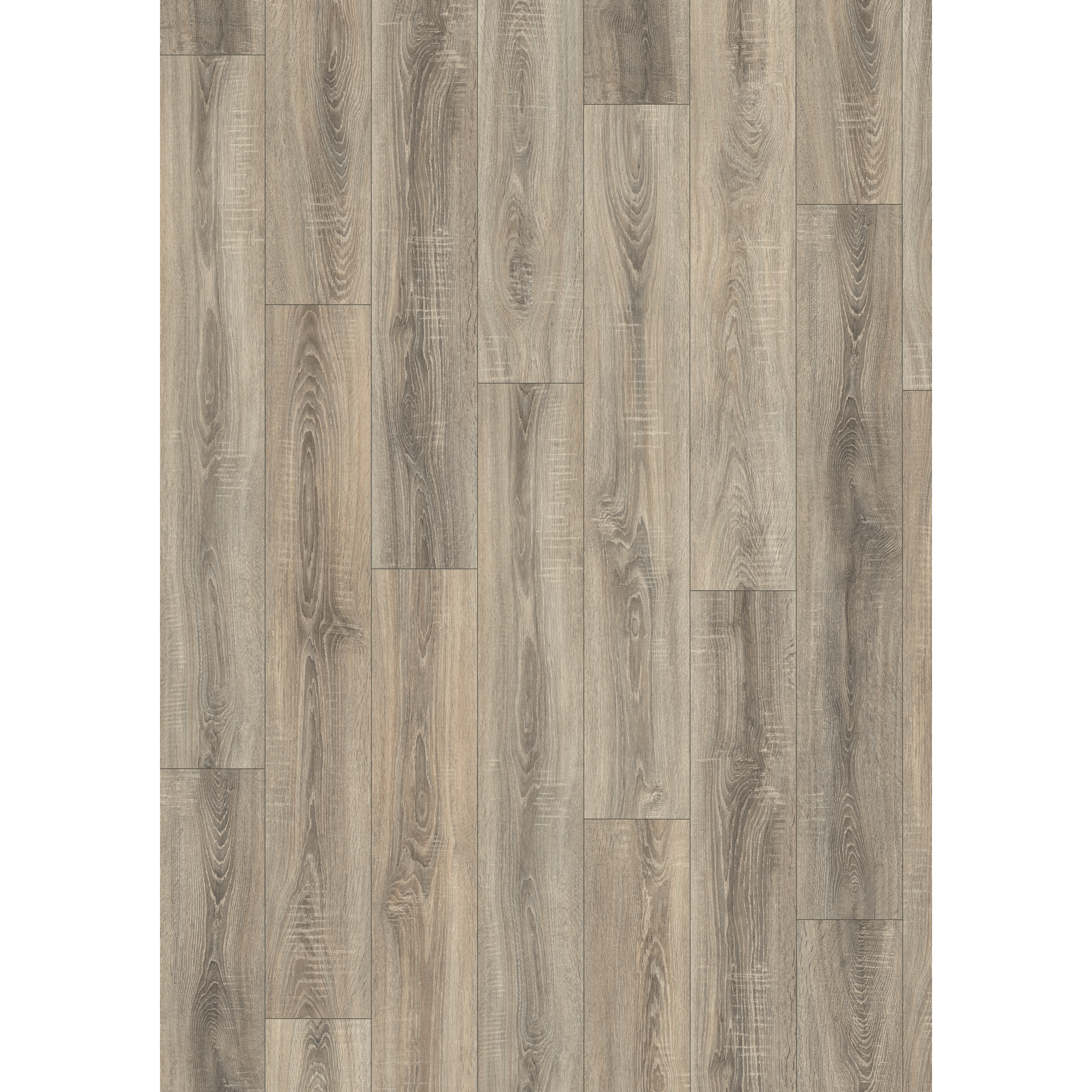 Laminat 'NatureSense' EL1056 Bardolino Eiche grau 7 mm
