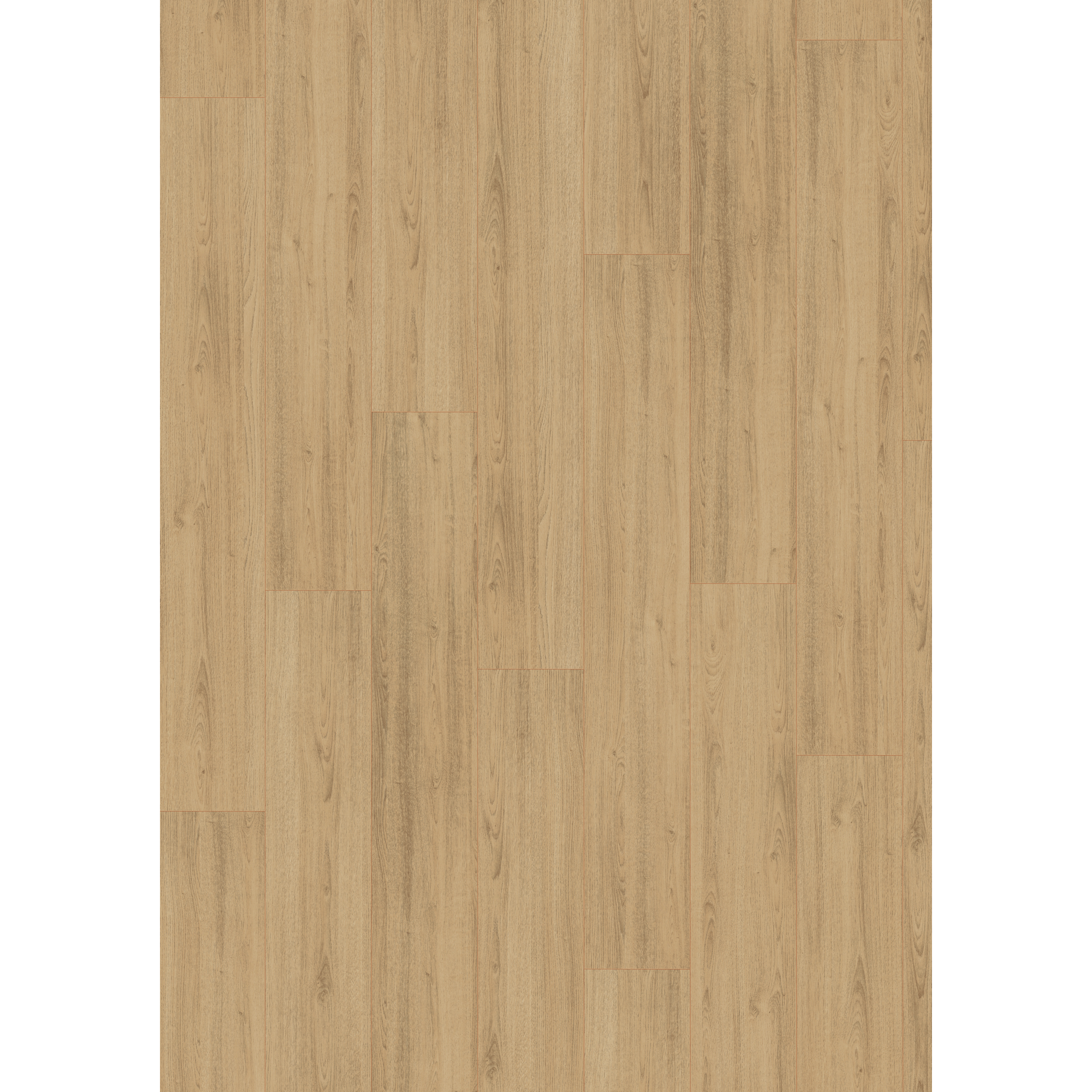Laminat 'NatureSense' EL1093 Charlotte Eiche natur 7 mm