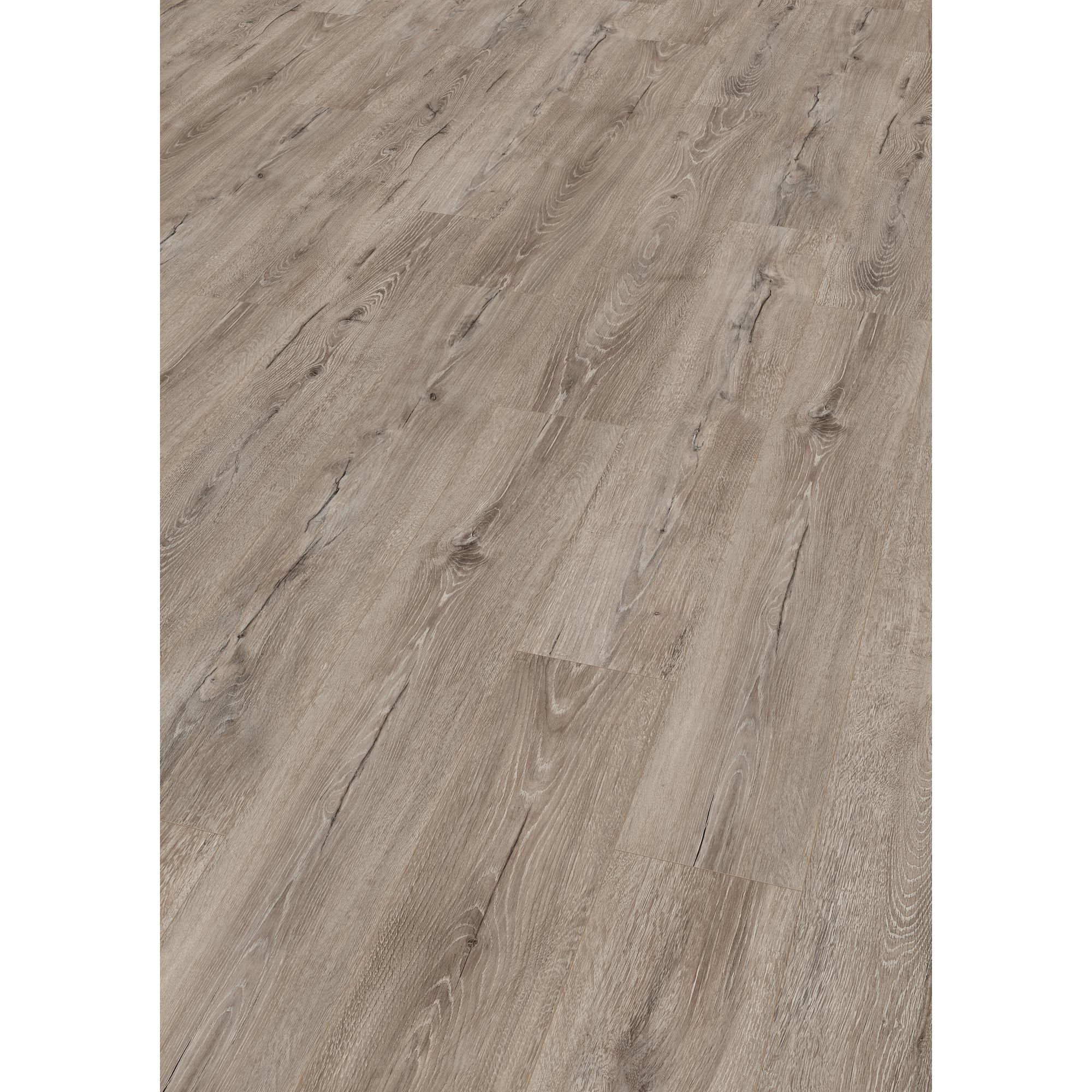 Laminat 'NatureSense' EL2010 Melba Eiche grau 7 mm