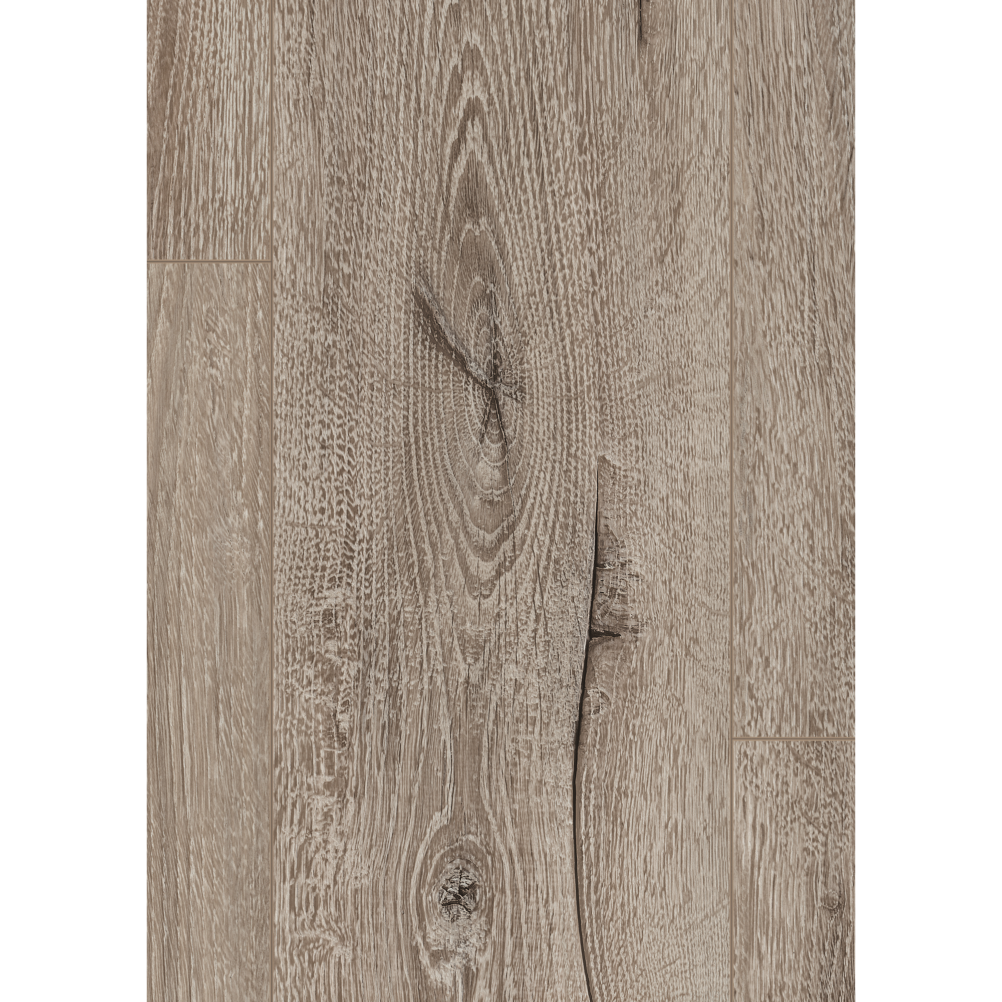 Laminat 'NatureSense' EL2010 Melba Eiche grau 7 mm