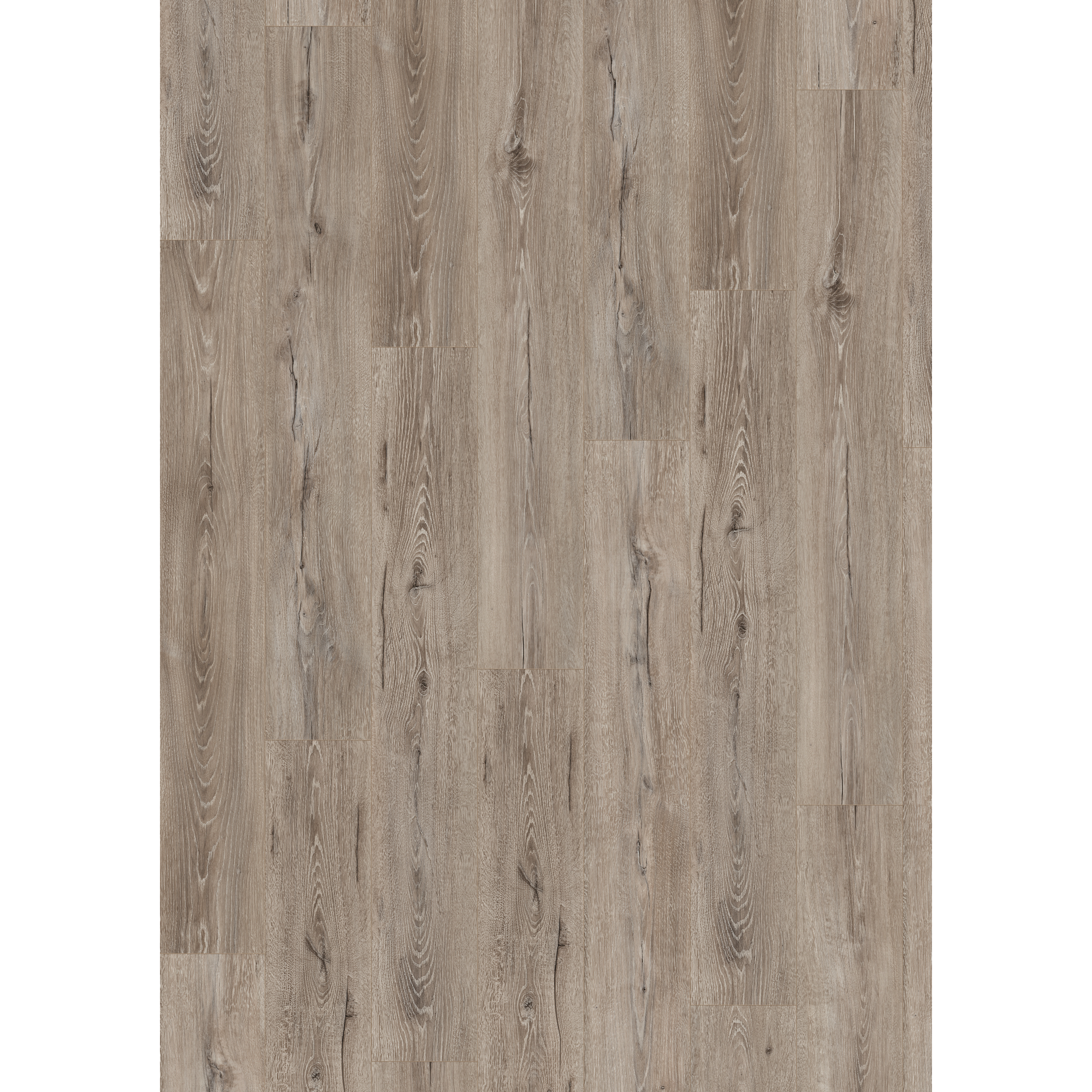 Laminat 'NatureSense' EL2010 Melba Eiche grau 7 mm