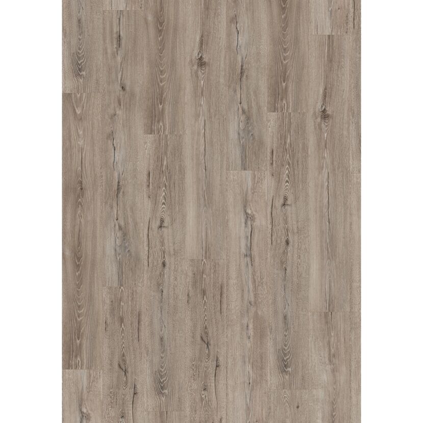 Laminat 'NatureSense' EL2010 Melba Eiche grau 7 mm