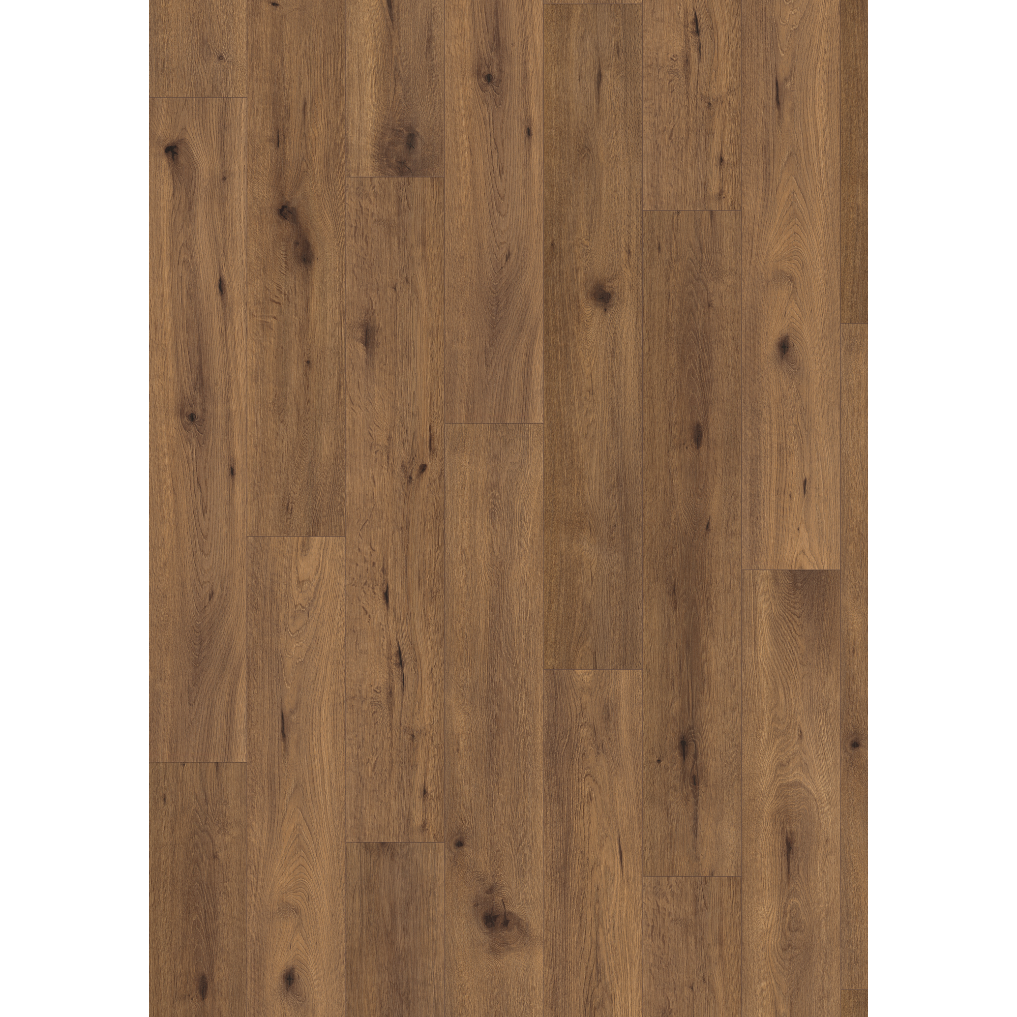 Laminat 'NatureSense' EL2099 Inuvik Eiche 7 mm