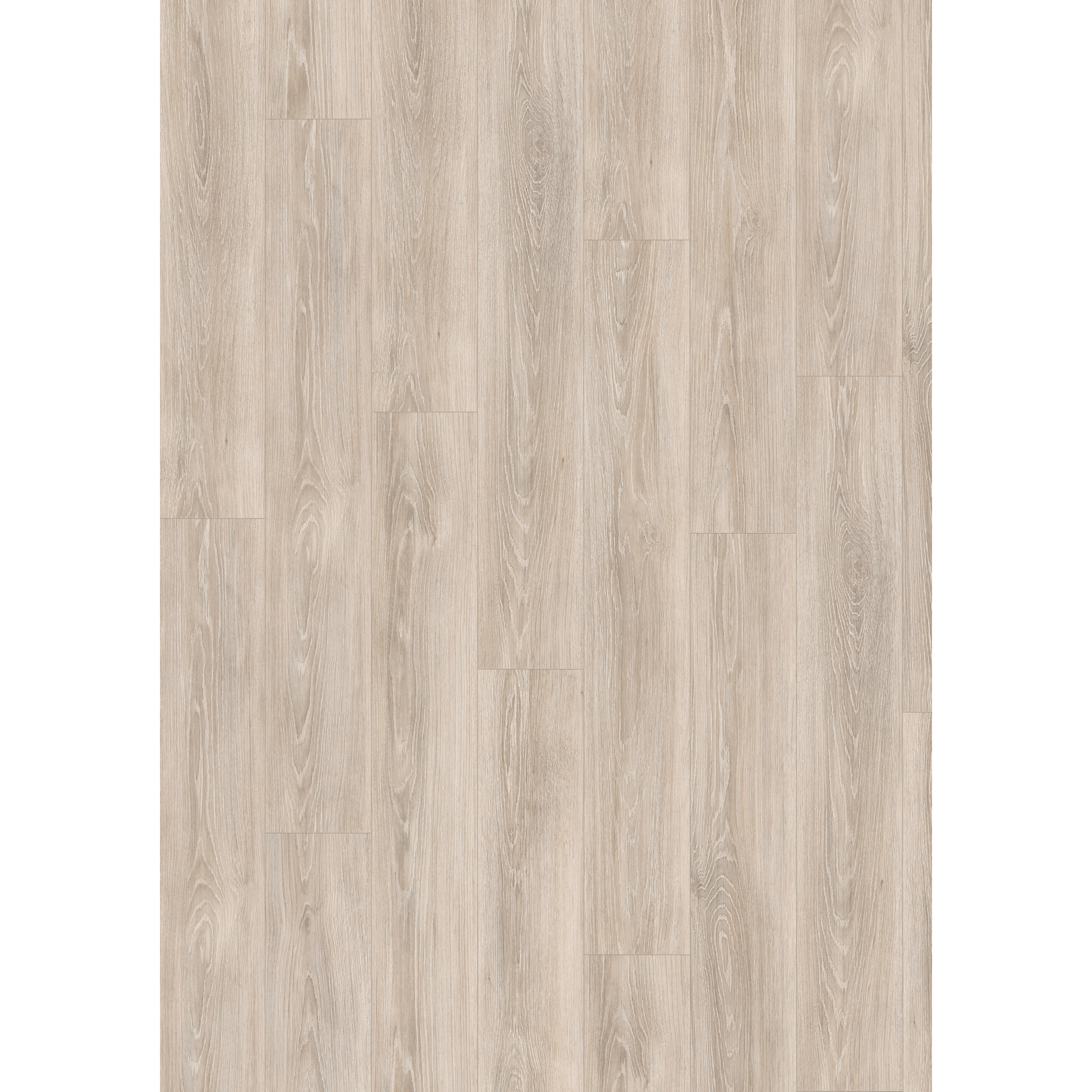 Laminat 'NatureSense' EL2160 Newport Eiche hellgrau 7 mm