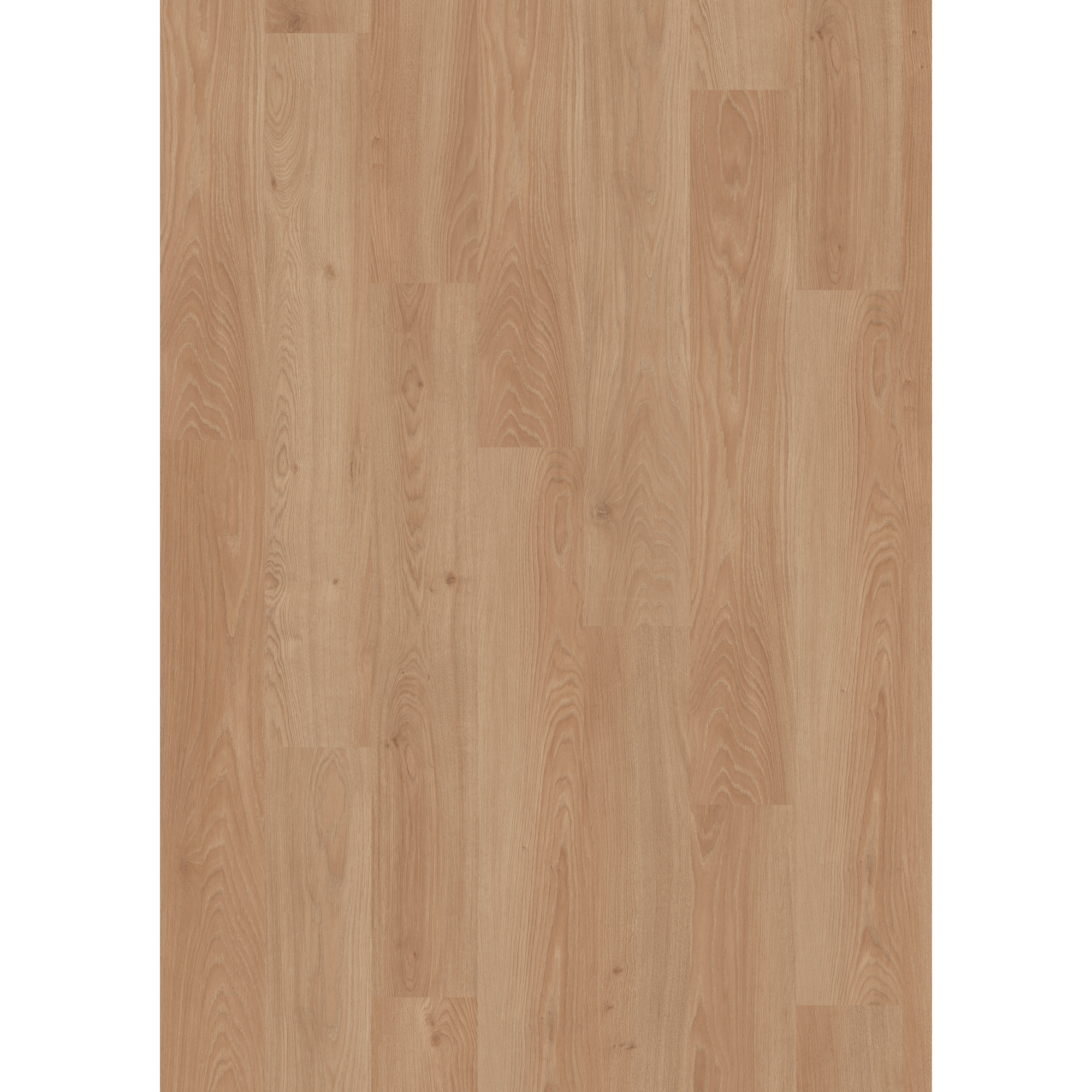 Laminat 'NatureSense' EL2090 Conway Eiche 8 mm