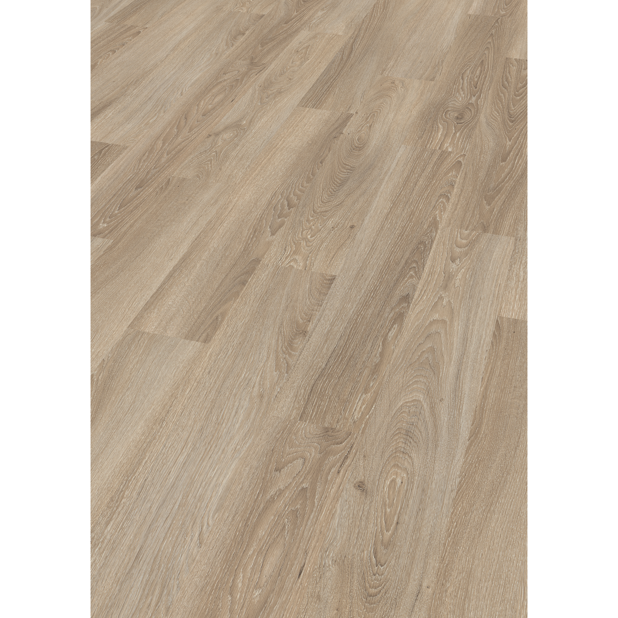 Laminat 'NatureSense' EL2730 Eiche Amiens hell 8 mm