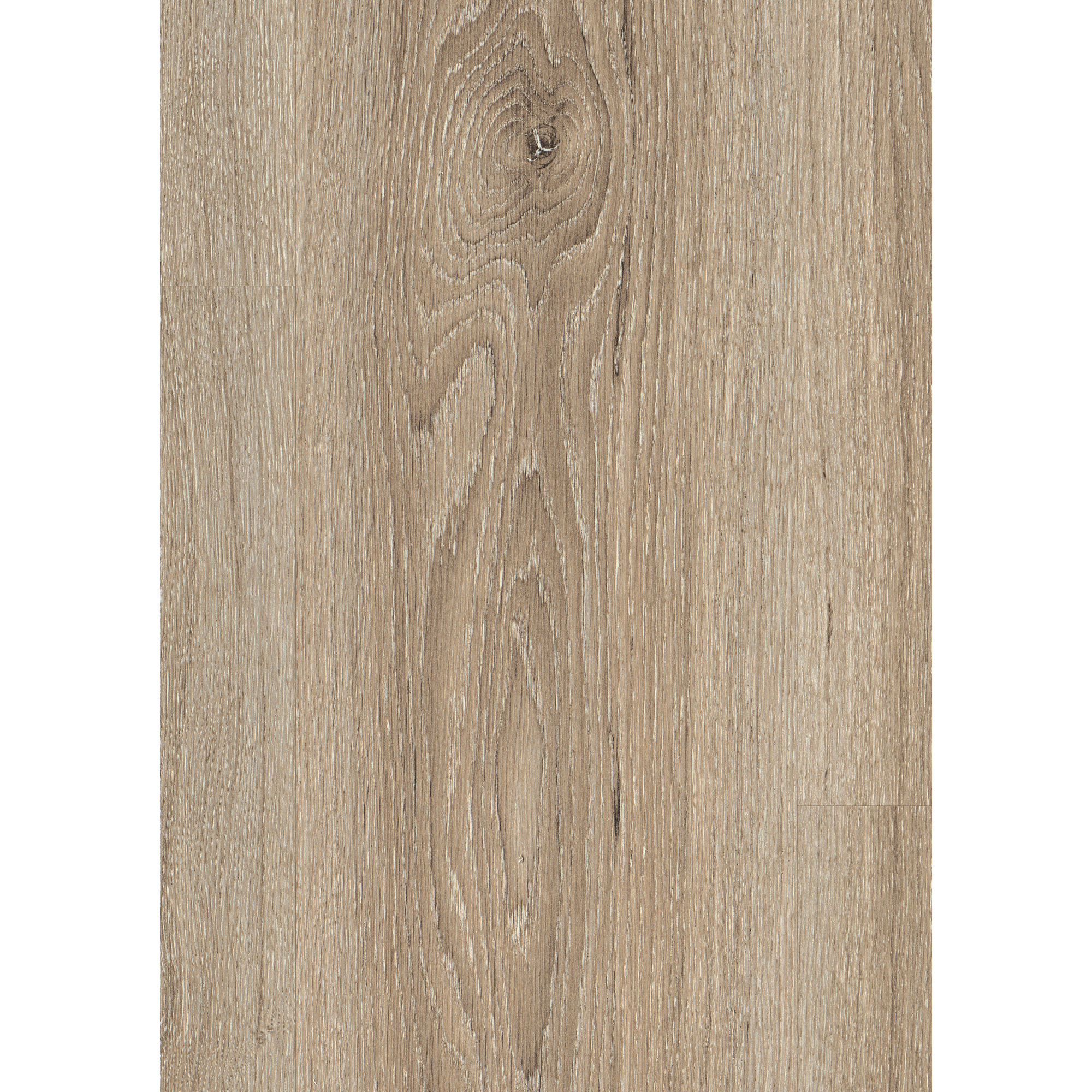 Laminat 'NatureSense' EL2730 Eiche Amiens hell 8 mm