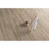 Laminat 'NatureSense' EL2730 Eiche Amiens hell 8 mm