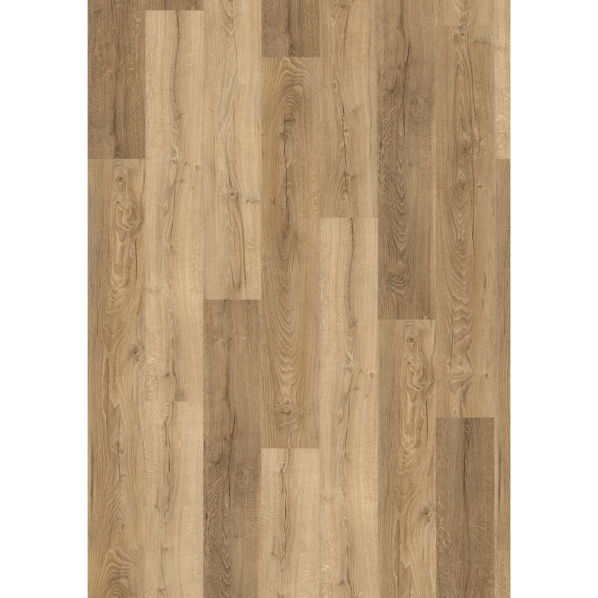Laminat 'NatureSense' EL2822 Livingston Eiche natur 8 mm