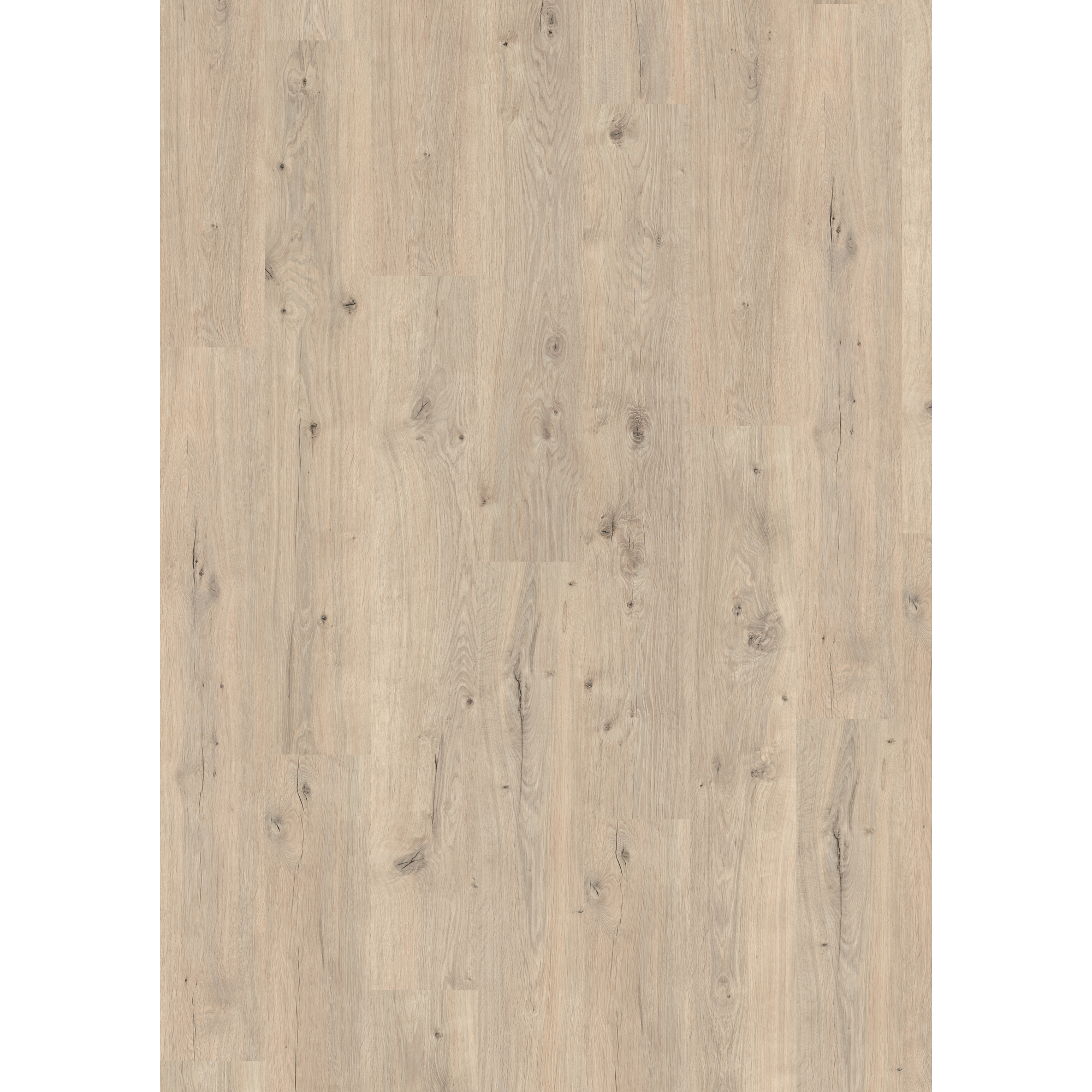 Laminat 'NatureSense' EL2834 Murom Eiche 8 mm