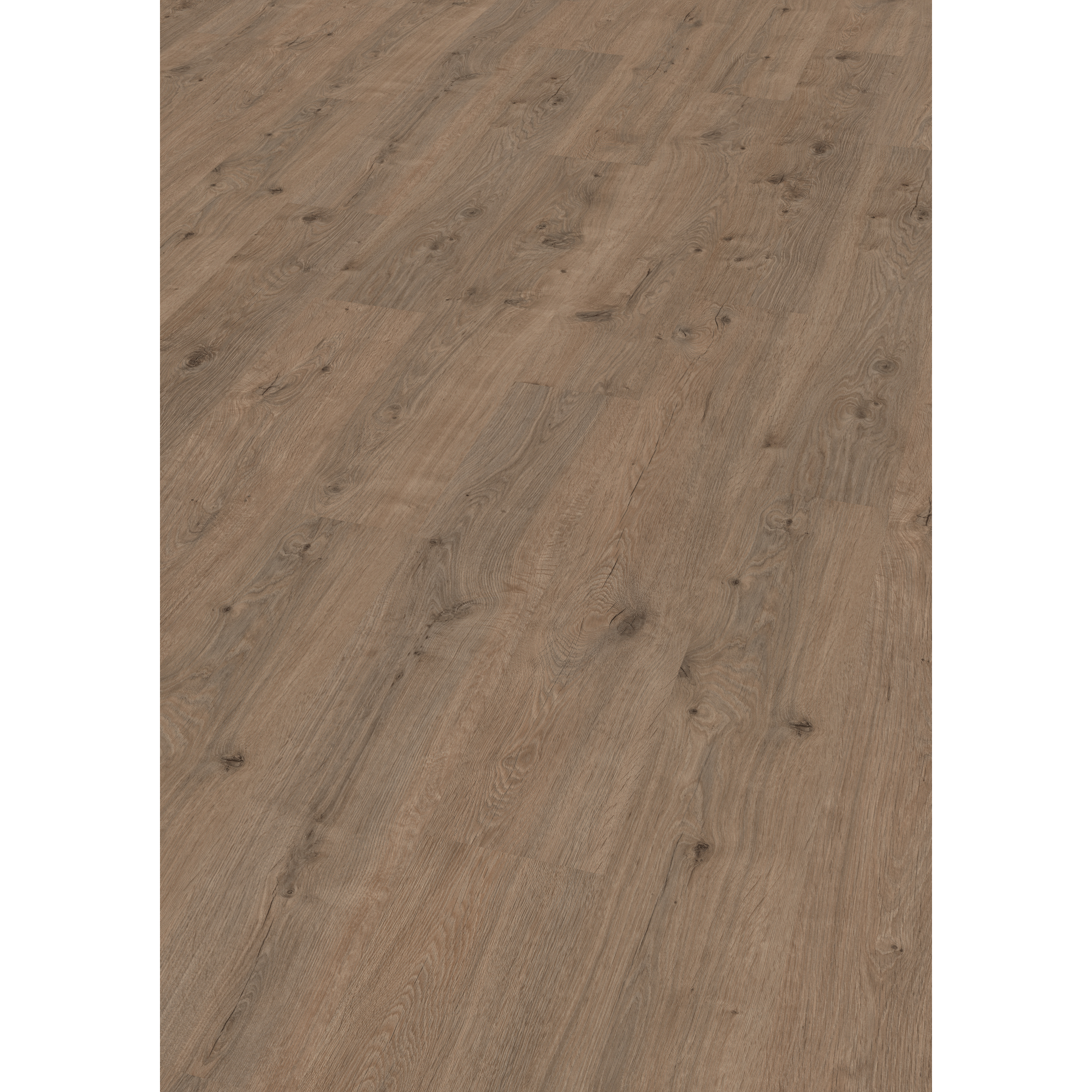 Laminat 'NatureSense' EL2835 Murom Eiche natur 8 mm