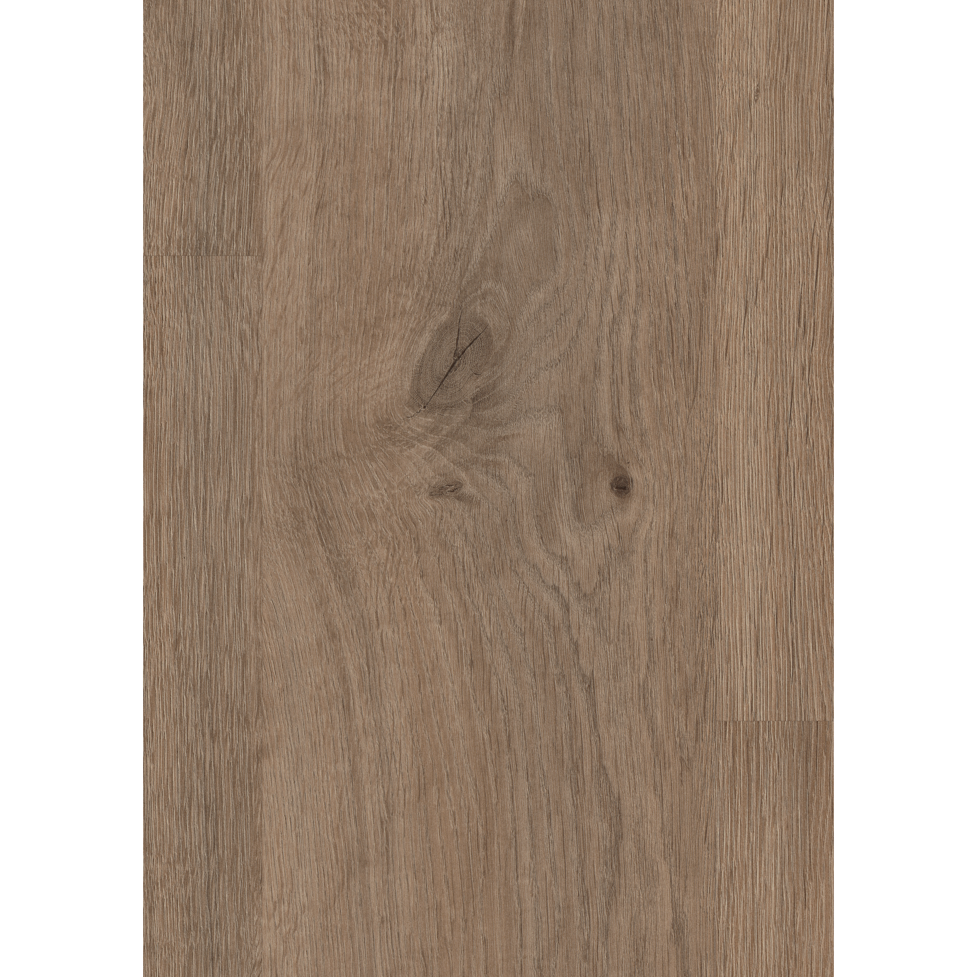 Laminat 'NatureSense' EL2835 Murom Eiche natur 8 mm