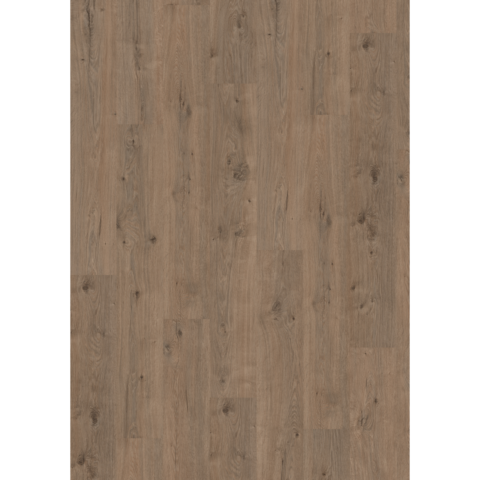 Laminat 'NatureSense' EL2835 Murom Eiche natur 8 mm