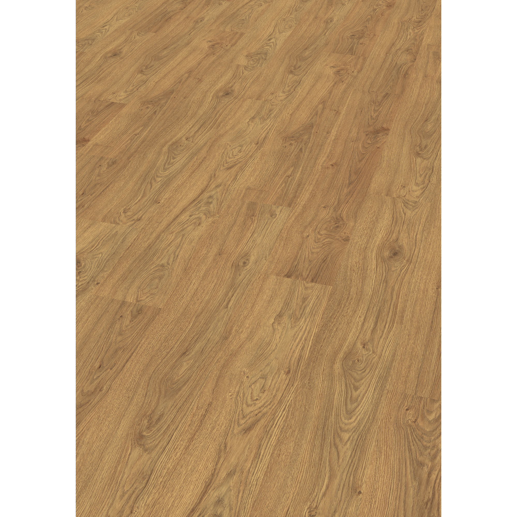 Laminat 'NatureSense' EL2863 Asgil Eiche honig 8 mm