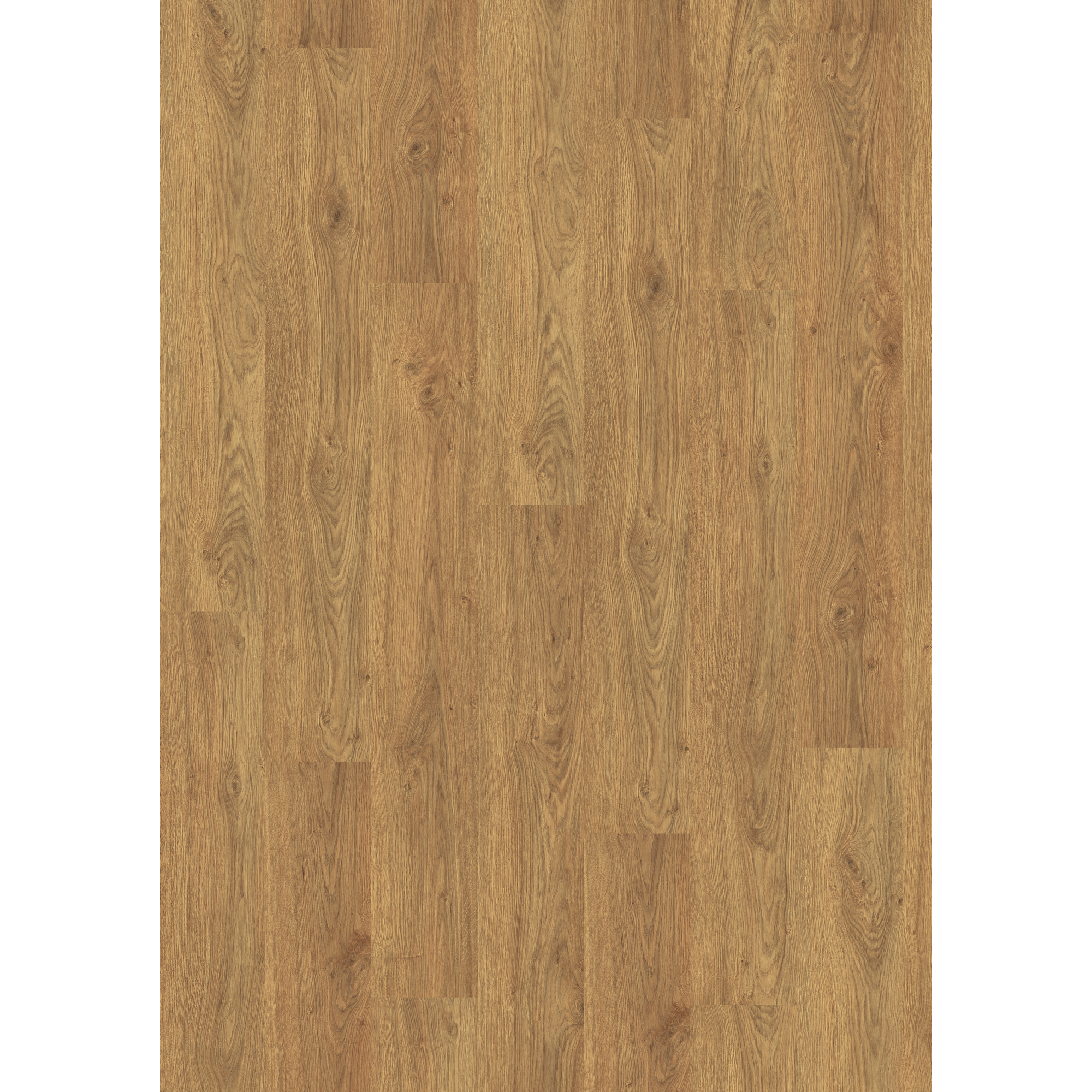 Laminat 'NatureSense' EL2863 Asgil Eiche honig 8 mm