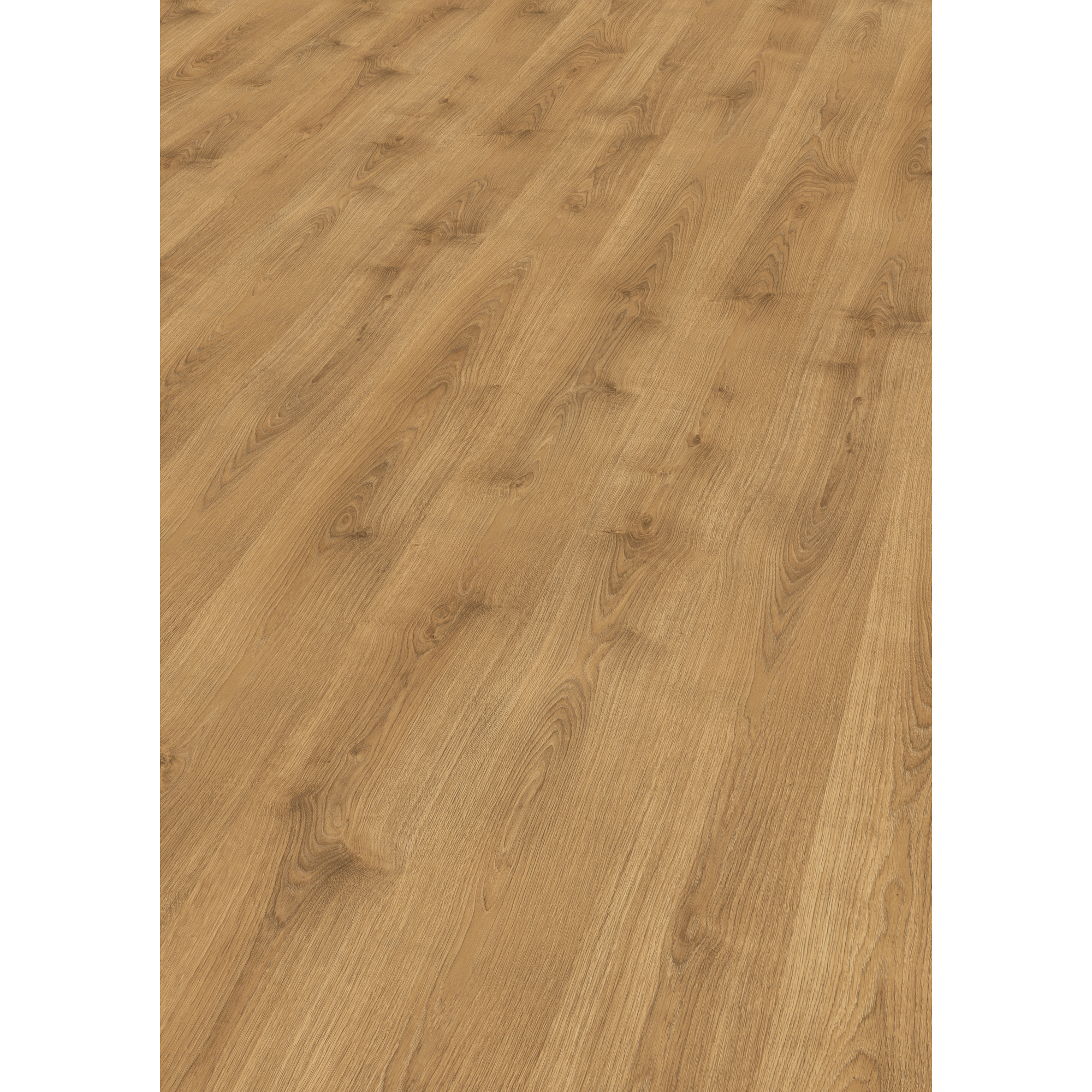 Laminat 'NatureSense' EL2970 Nord Eiche natur 8 mm