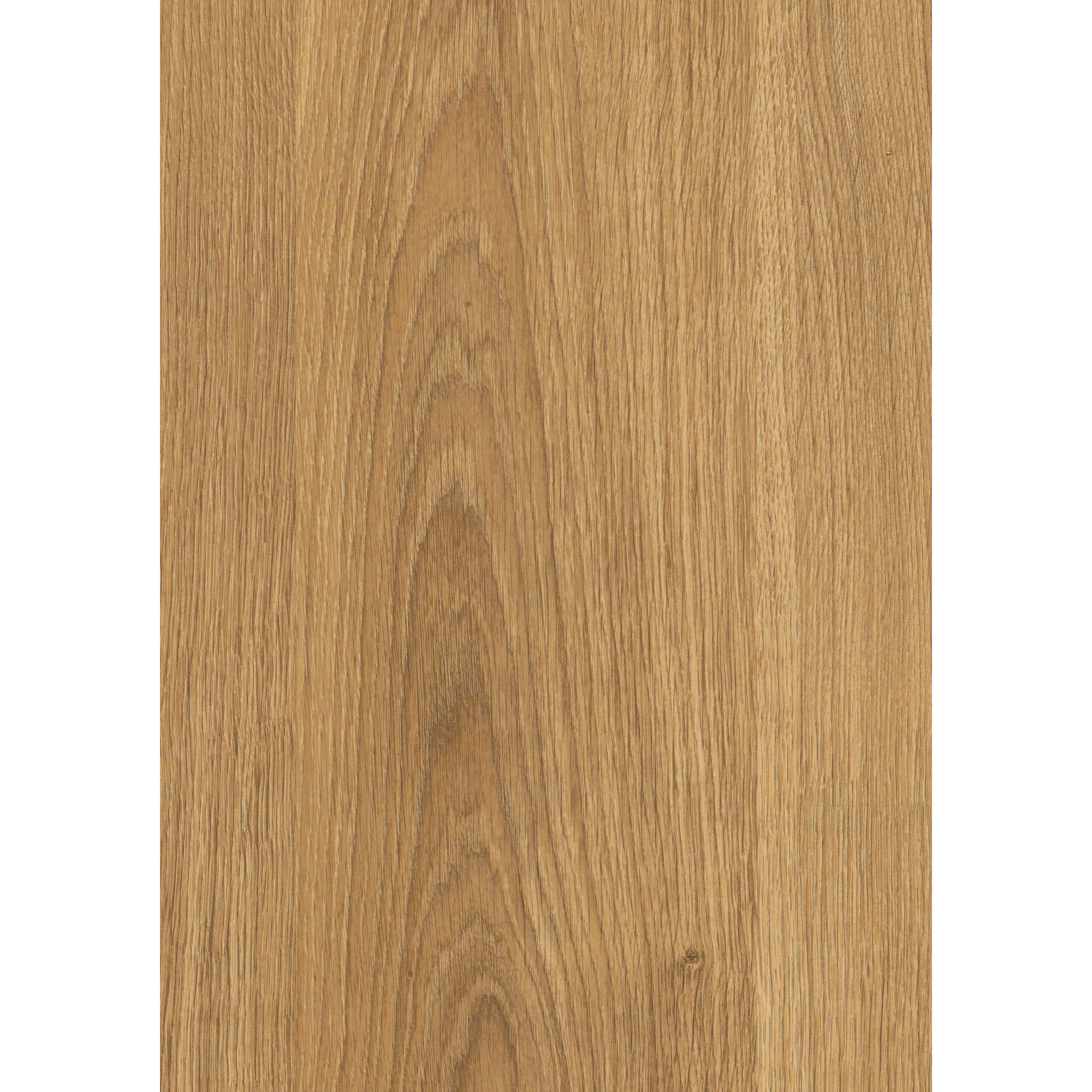 Laminat 'NatureSense' EL2970 Nord Eiche natur 8 mm