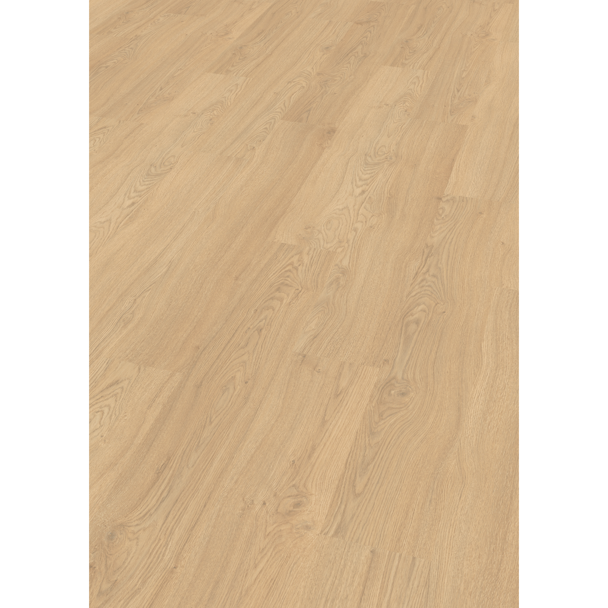 Laminat 'NatureSense' EL2974 Matera Eiche hell 8 mm