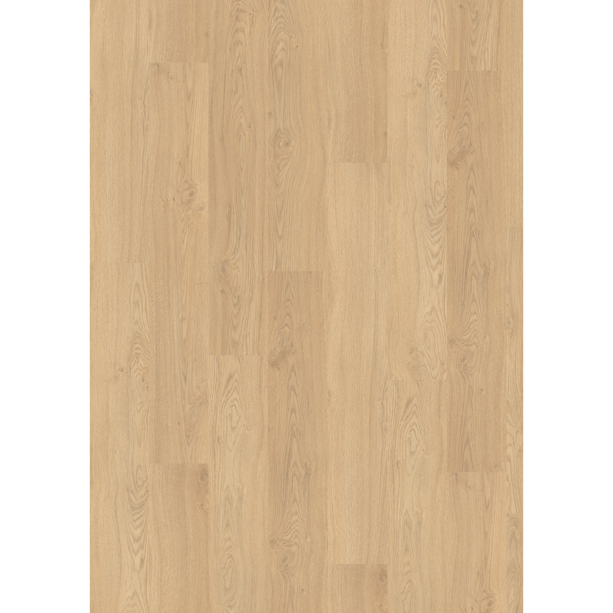 Laminat 'NatureSense' EL2974 Matera Eiche hell 8 mm