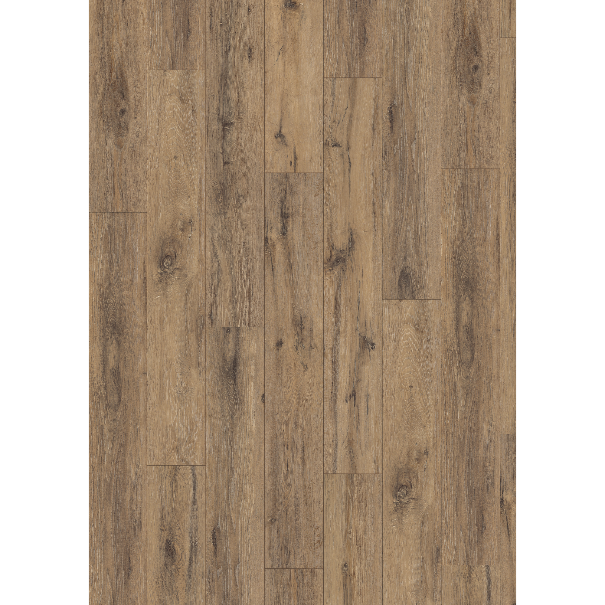 Laminat 'NatureSense' EL1007 Parkett Eiche dunkel 8 mm