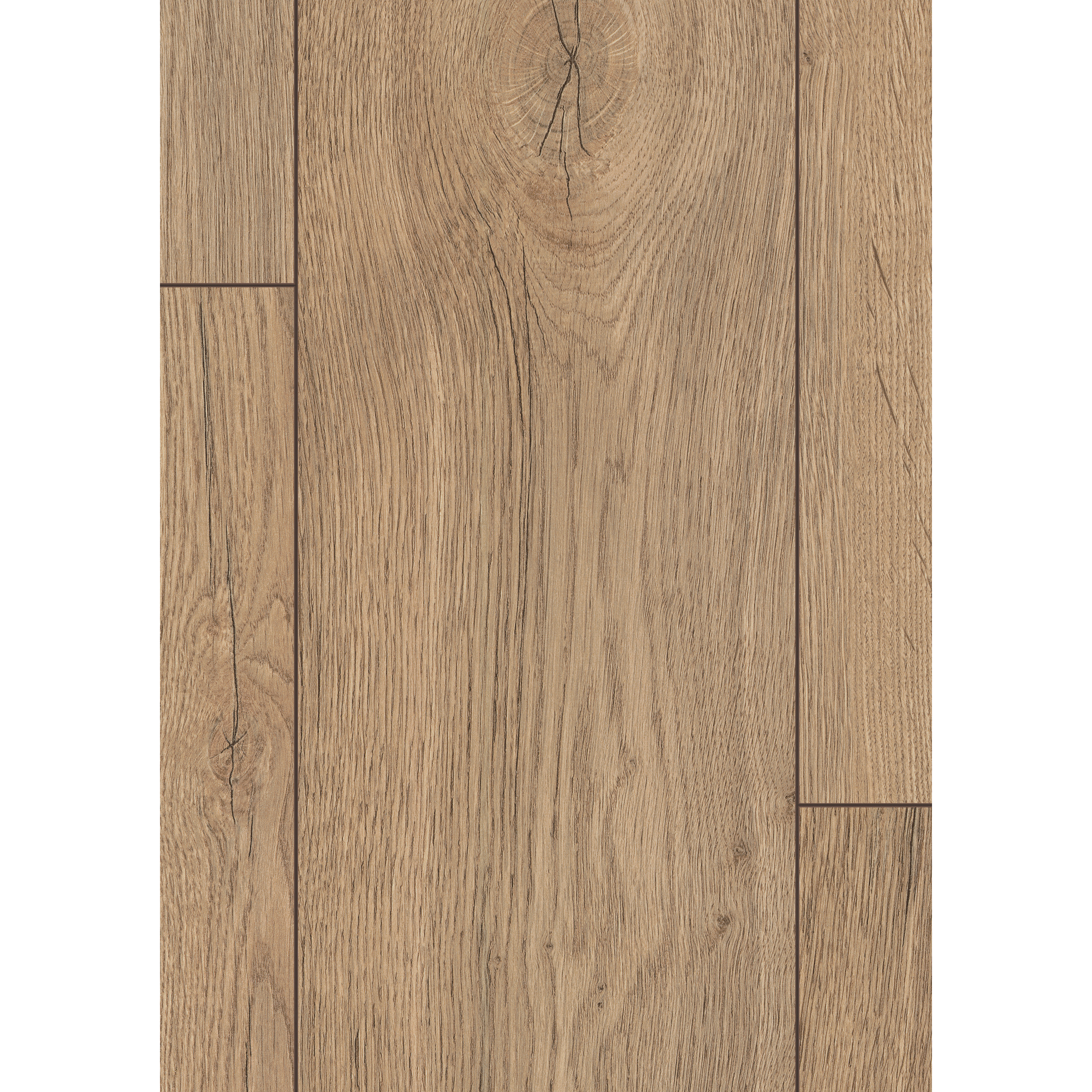 Laminat 'NatureSense' EL2082 Elva Eiche natur 8 mm