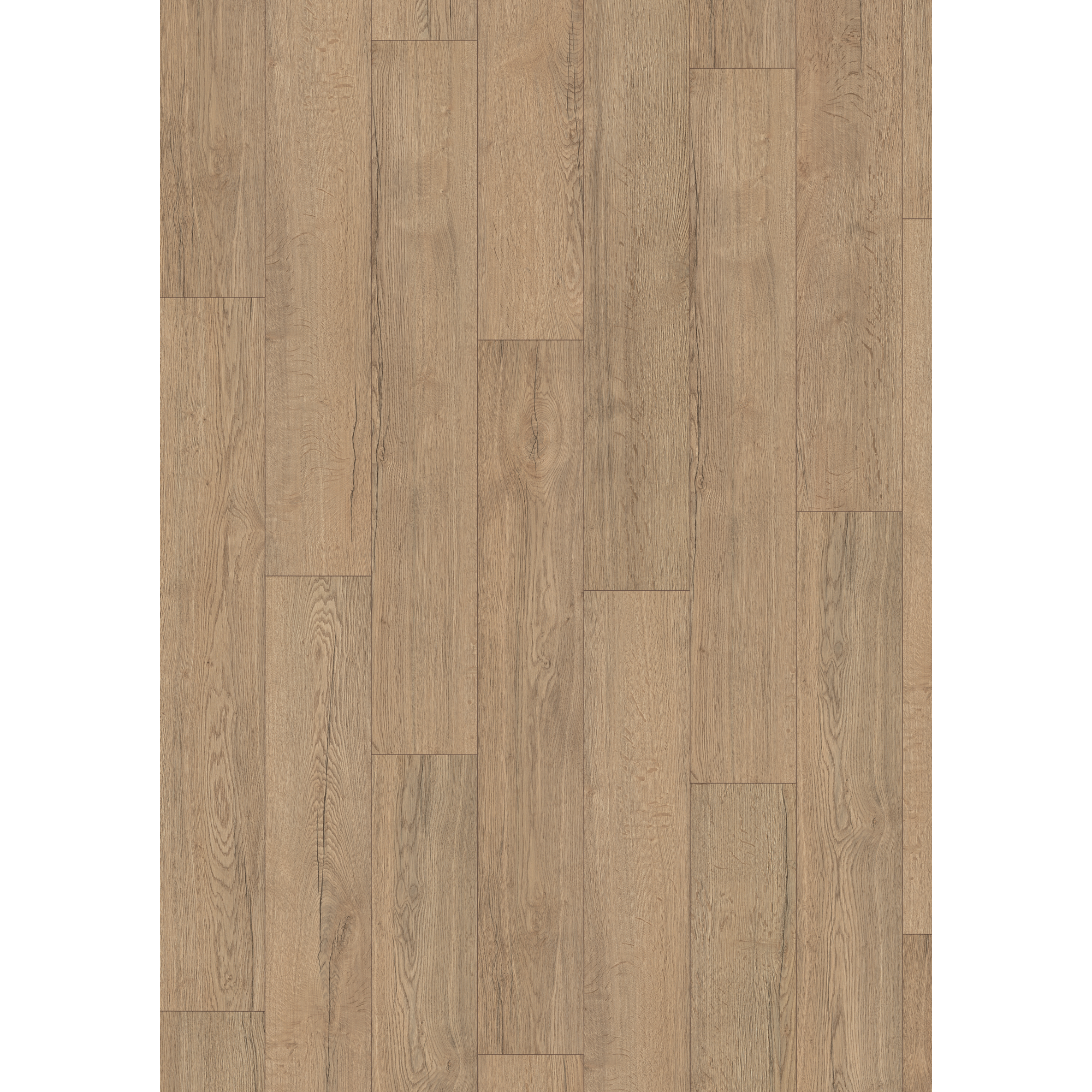 Laminat 'NatureSense' EL2082 Elva Eiche natur 8 mm