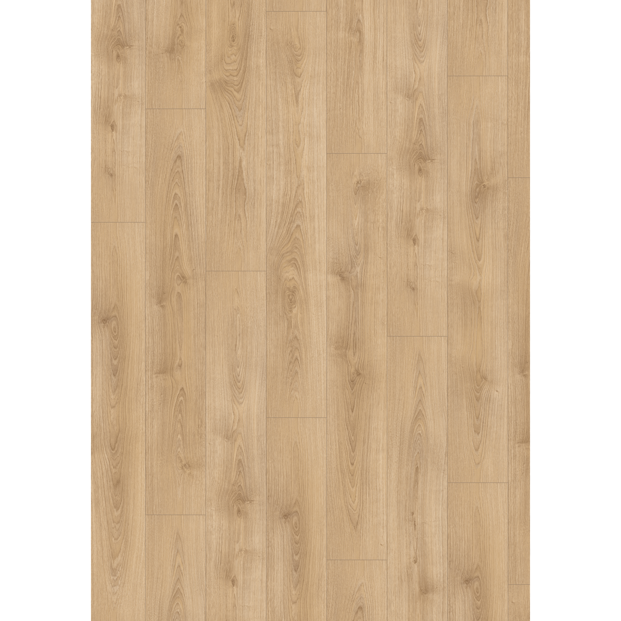 Laminat 'NatureSense' EL2157 Nord Eiche sand 8 mm