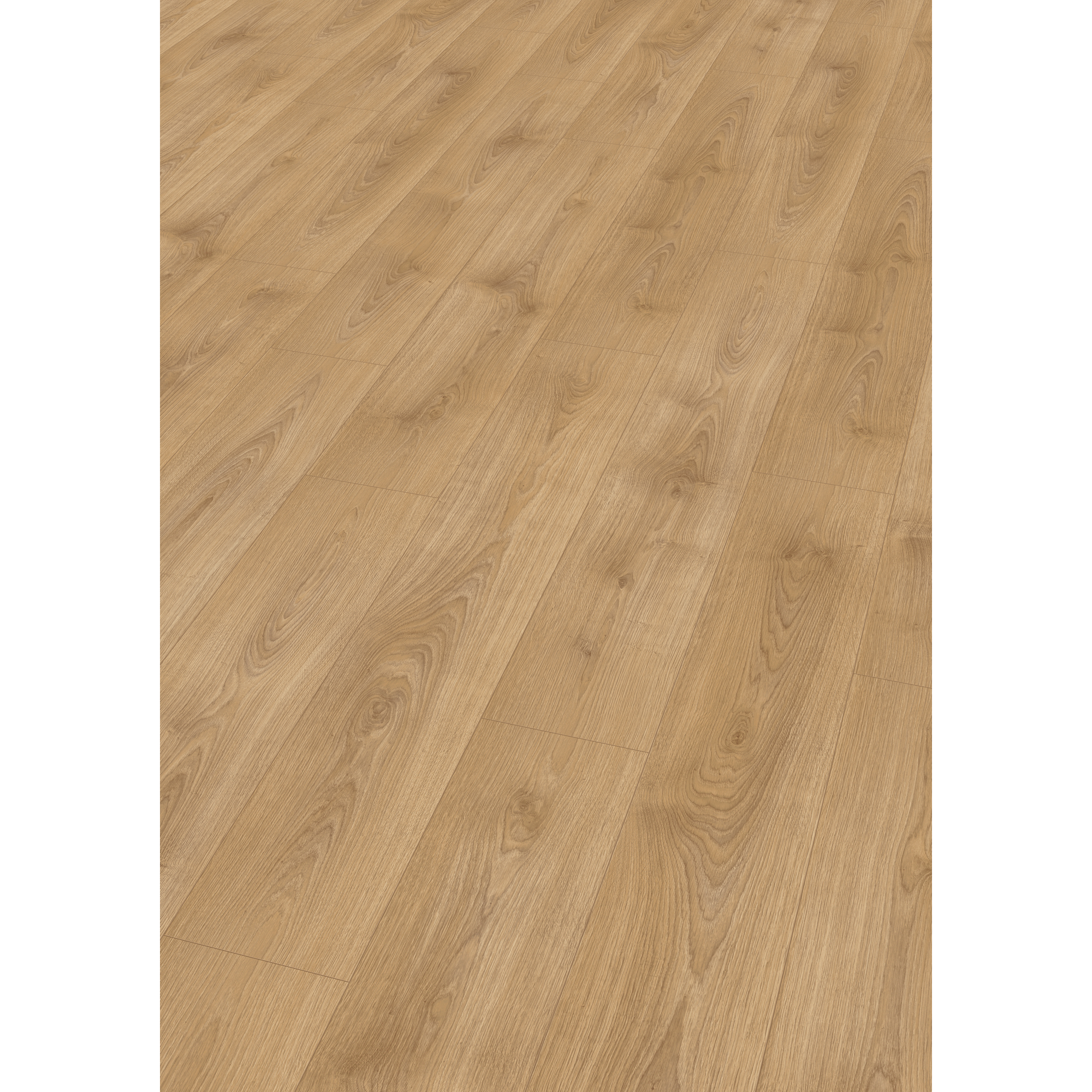 Laminat 'NatureSense' EL2158 Nord Eiche hellbraun 8 mm