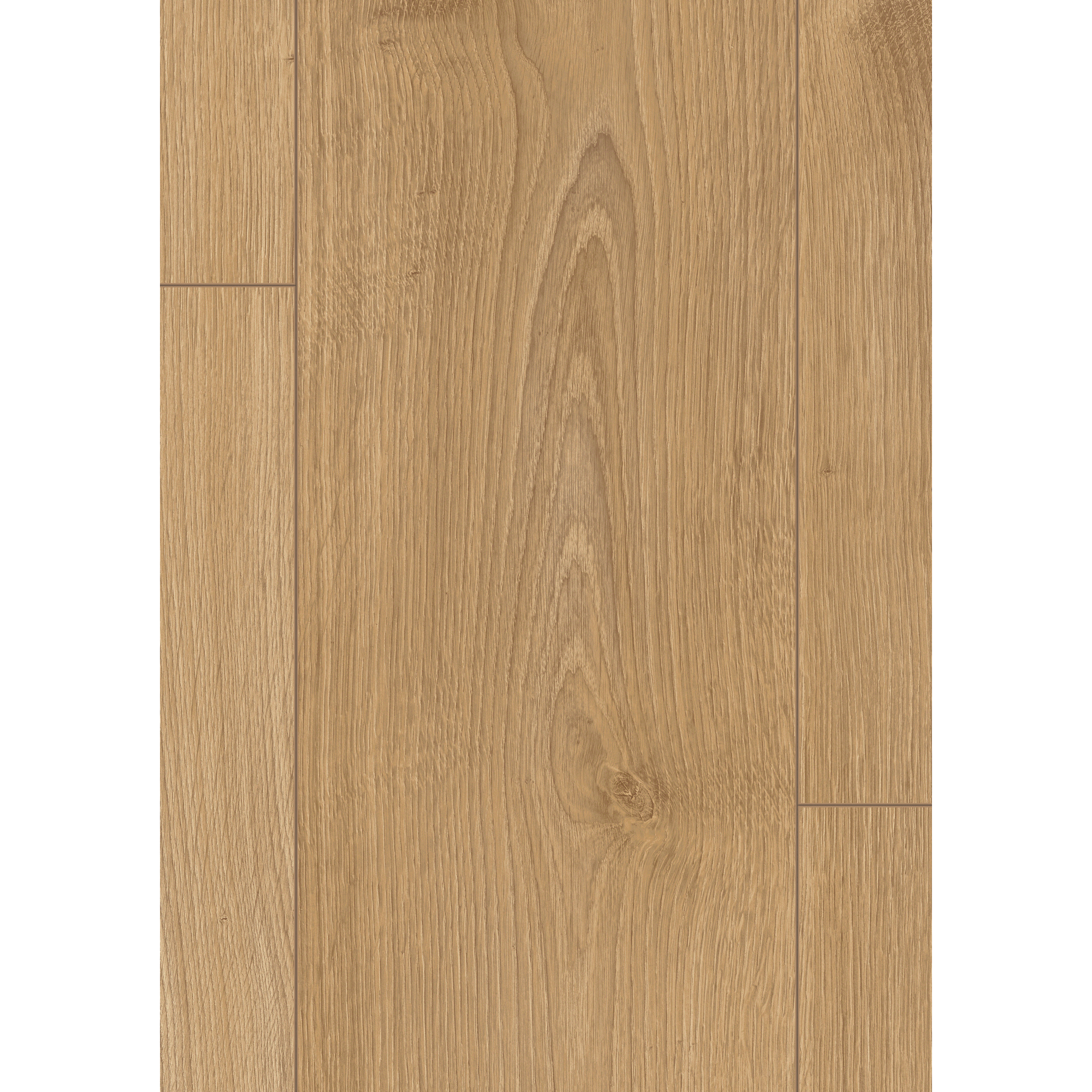 Laminat 'NatureSense' EL2158 Nord Eiche hellbraun 8 mm