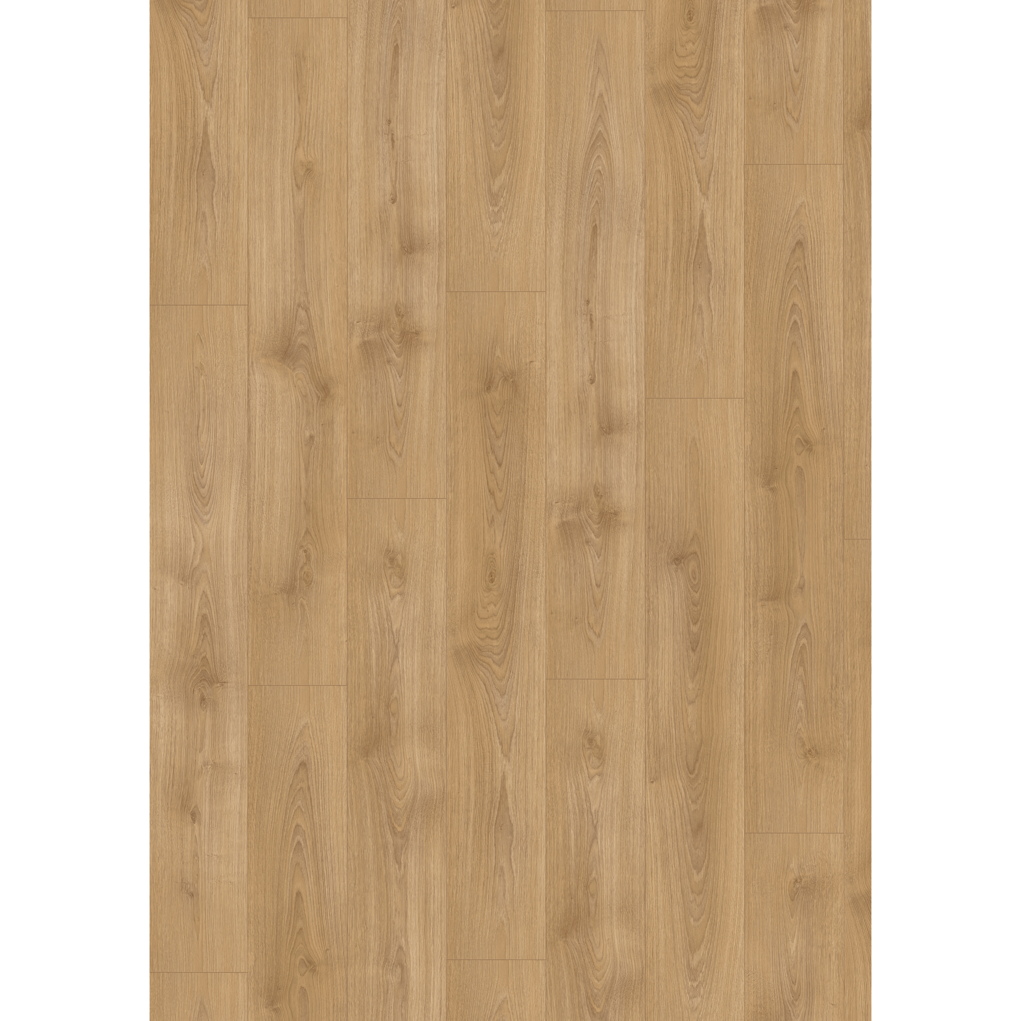 Laminat 'NatureSense' EL2158 Nord Eiche hellbraun 8 mm