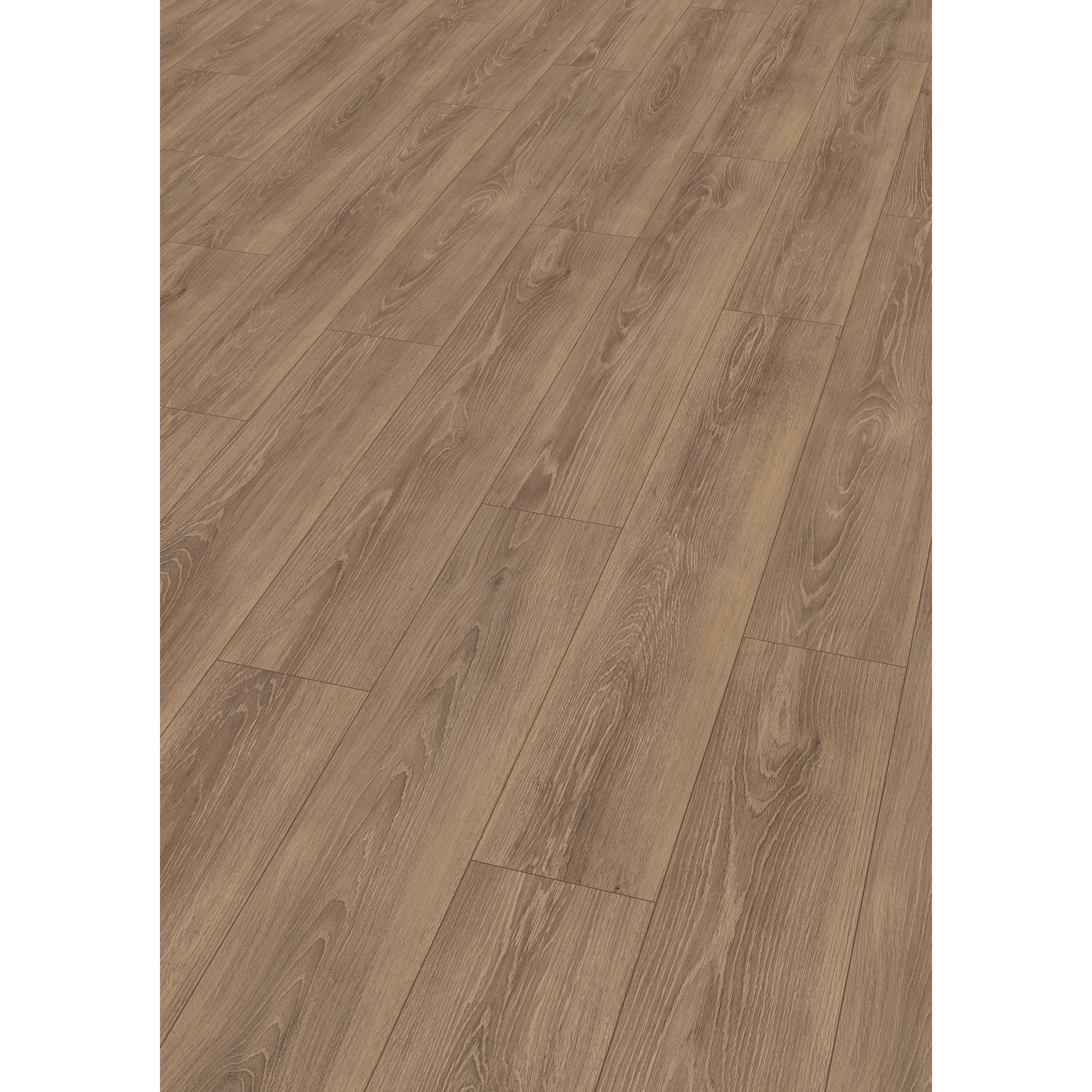 Laminat 'NatureSense' EL2163 Newport Eiche braun 8 mm