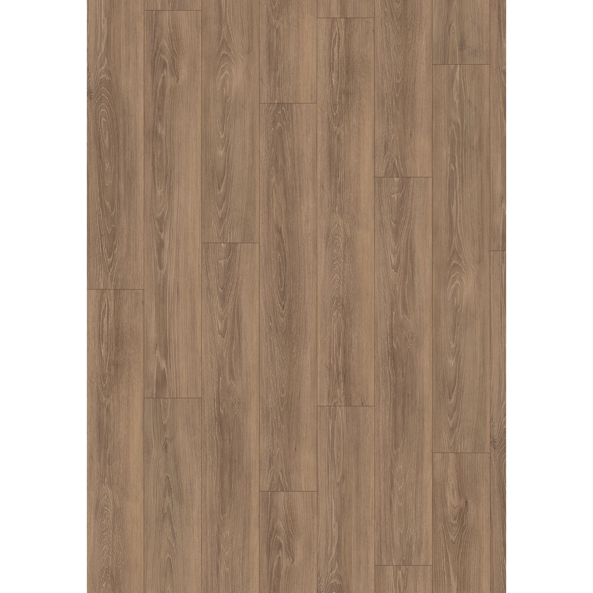 Laminat 'NatureSense' EL2163 Newport Eiche braun 8 mm