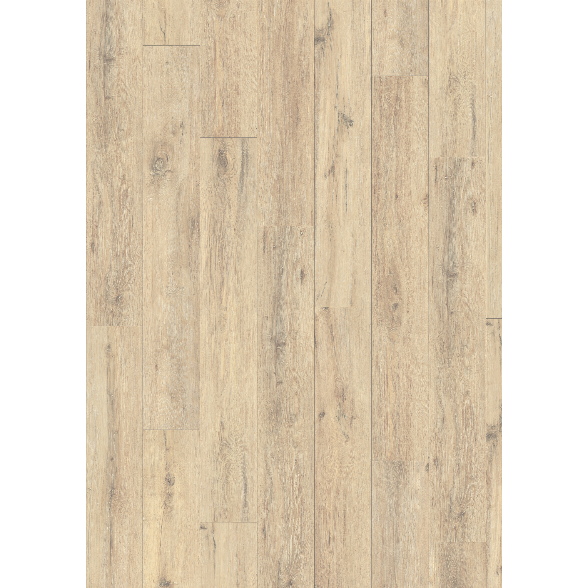 Laminat 'NatureSense' EL2805 Parkett Eiche 8 mm