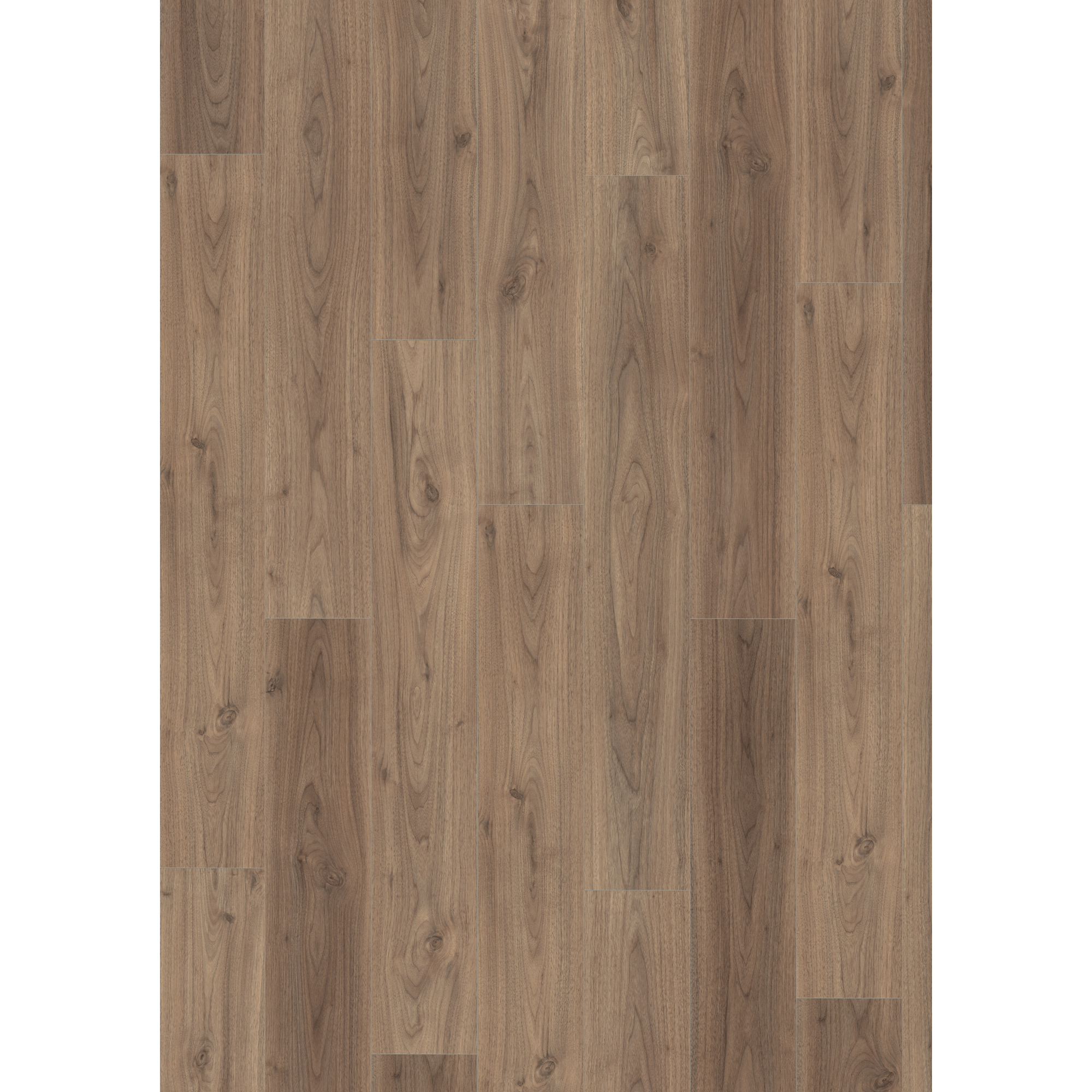 Laminat 'NatureSense Aqua' EL2070 Langley Nussbaum hell 8 mm